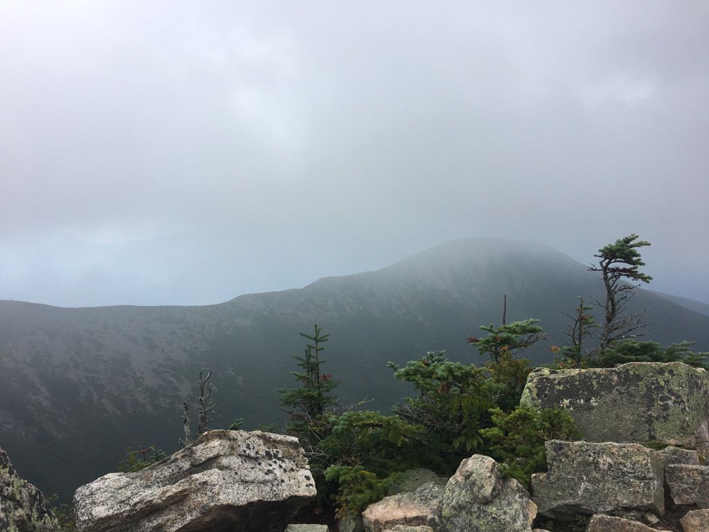 Large rocks and small trees on a mountain shrouded in thick fog. - West Bond loop from Mount Bond
