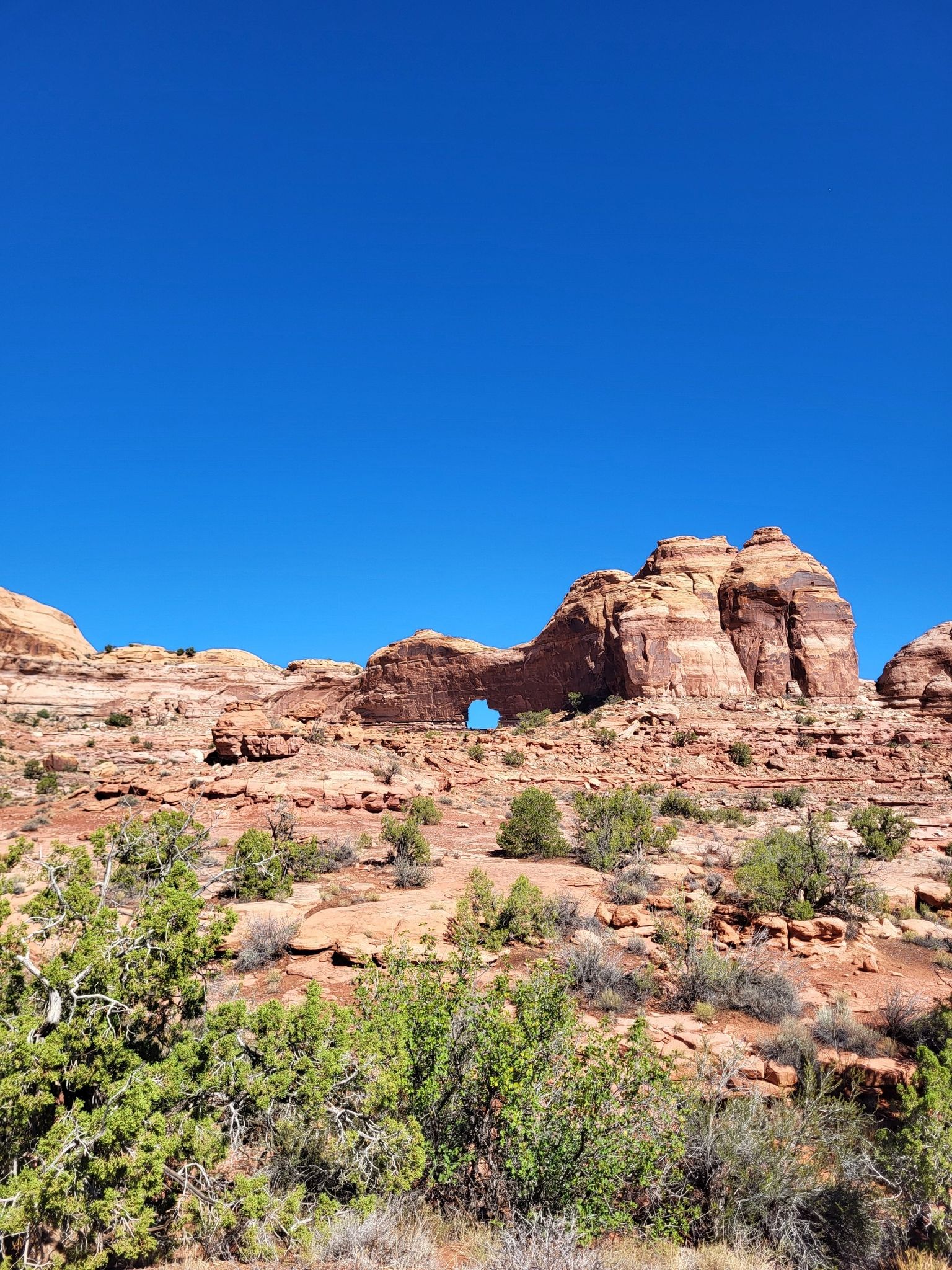 Wide desert landscape with a distant natural arch under a clear blue sky. - Jeep Arch Trail