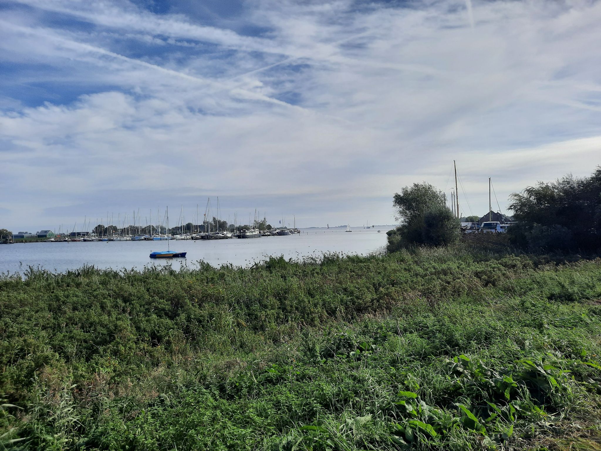 Gouwzee