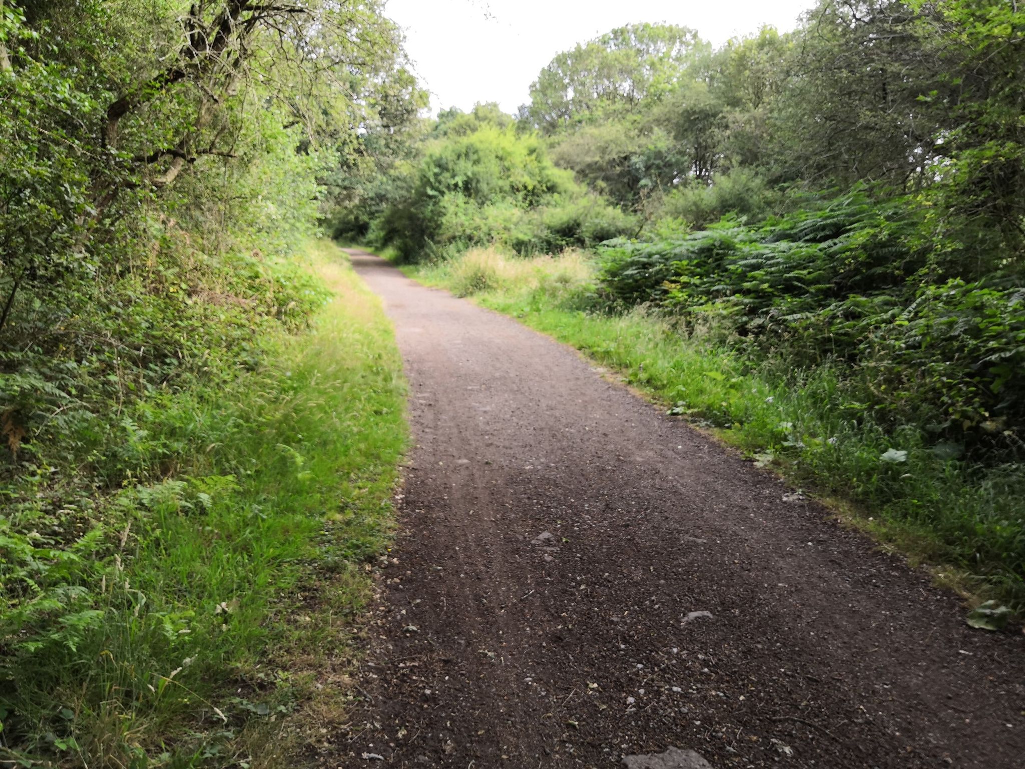 Previously unknown gravel route to work! 