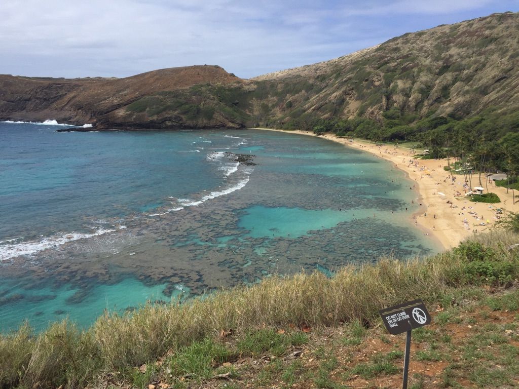 Bright coastal bay with clear water, sandy beach, and people enjoying the sun. - The Tram at Hanauma Bay