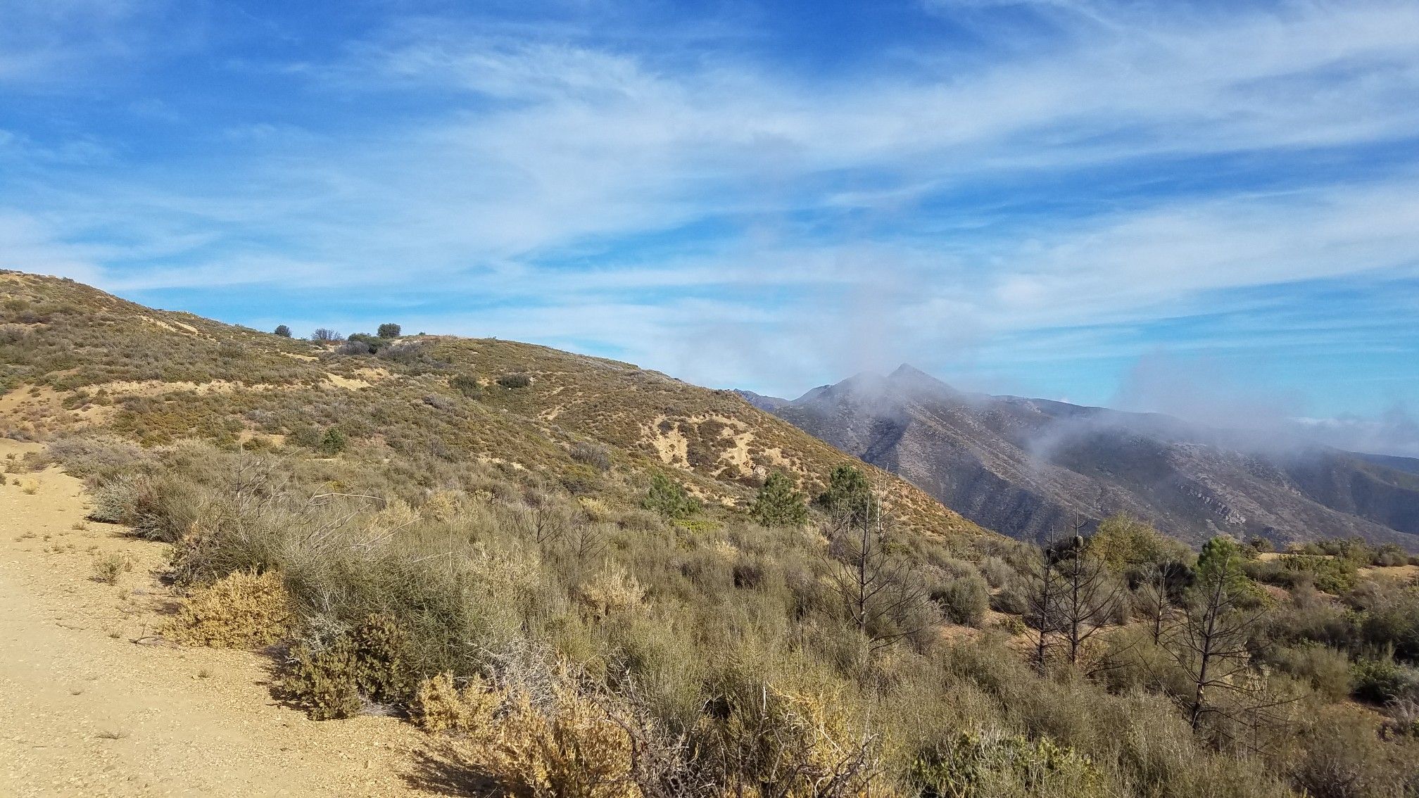 Hilly, brush-covered landscape under a partly cloudy blue sky with distant fog. - Sisar Canyon Road – Gridley Trail loop from Ojai