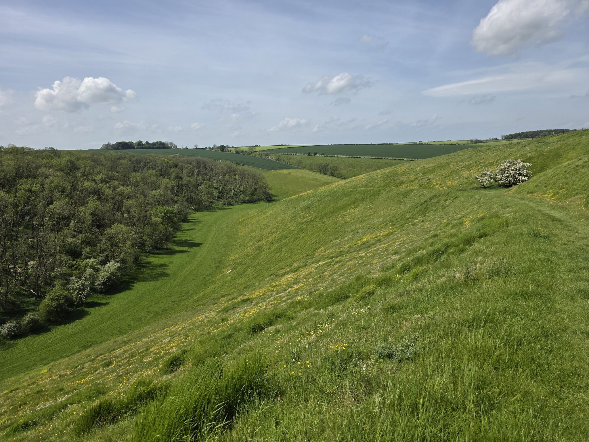 Thixendale valley