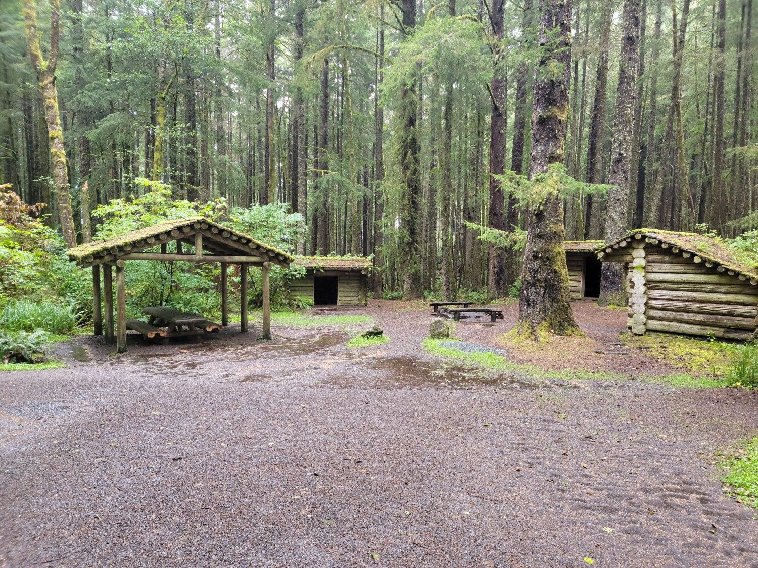 Forest campsite with rustic log shelters, picnic table, and tall trees. - Lewis and Clark Discovery Trail