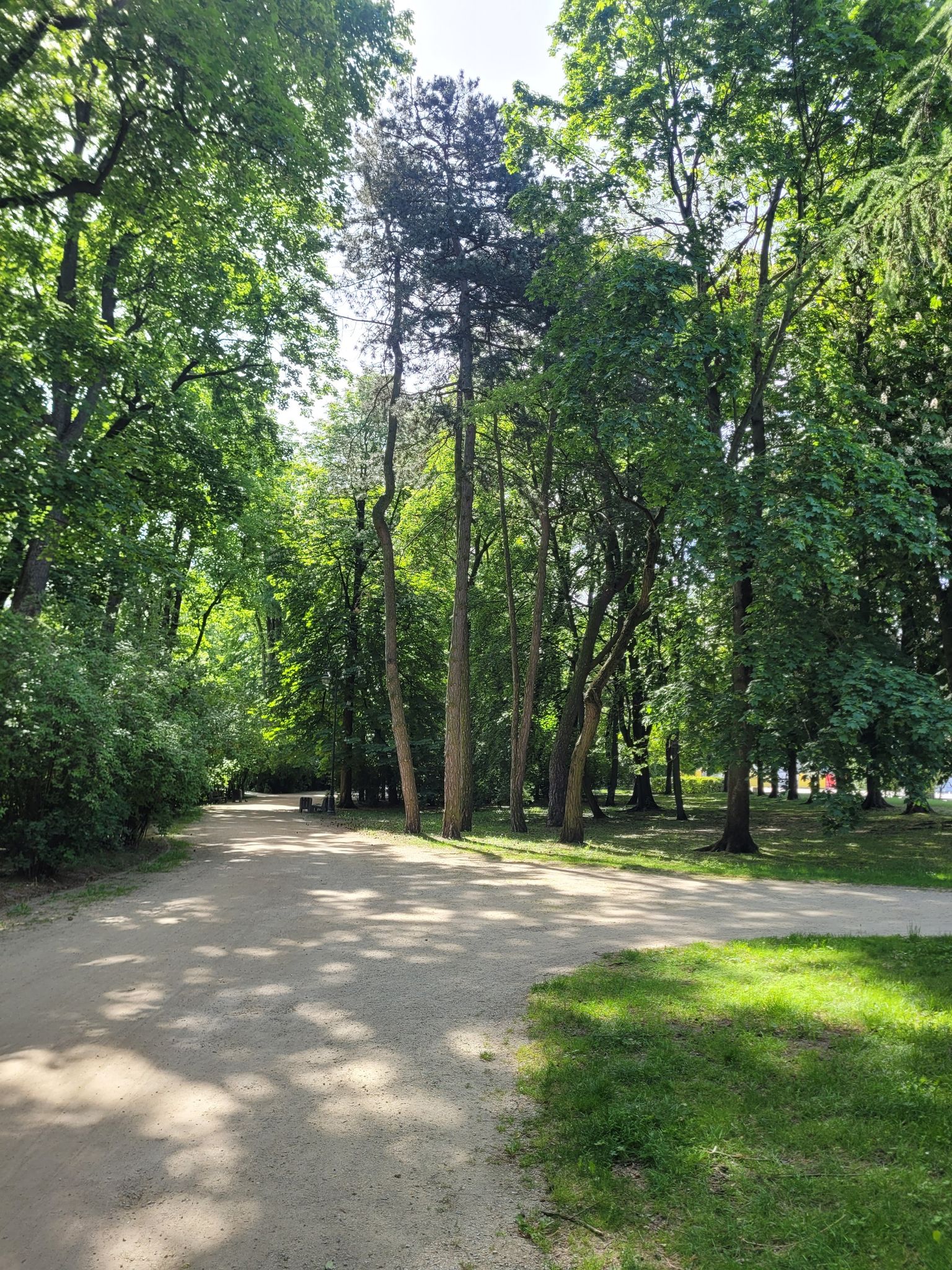 Park Stary im. Księcia Józefa Poniatowskiego.
