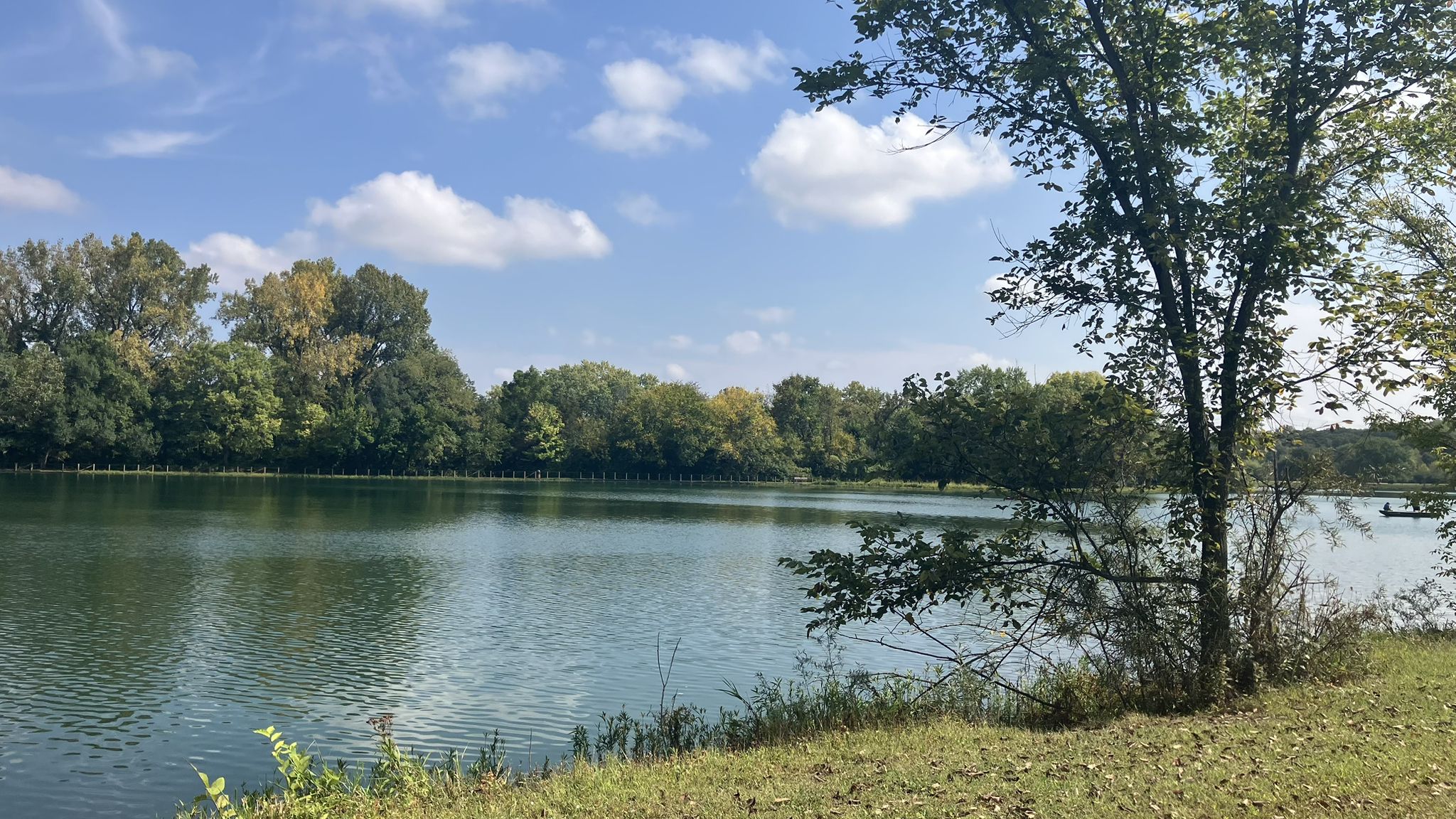 Calm lake reflecting blue sky, surrounded by green trees, small boat visible. - Silver Springs State Park Loop