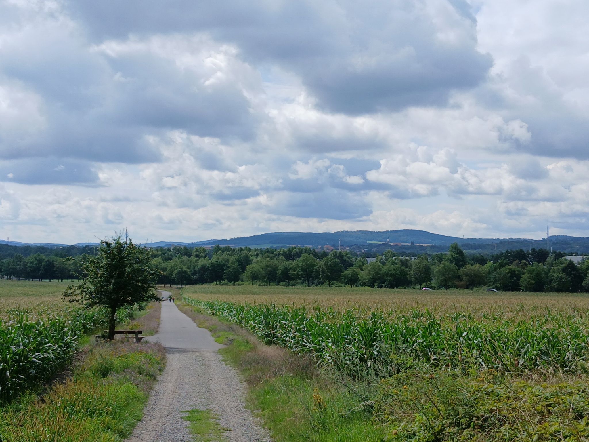 Blick zum Hutberg
