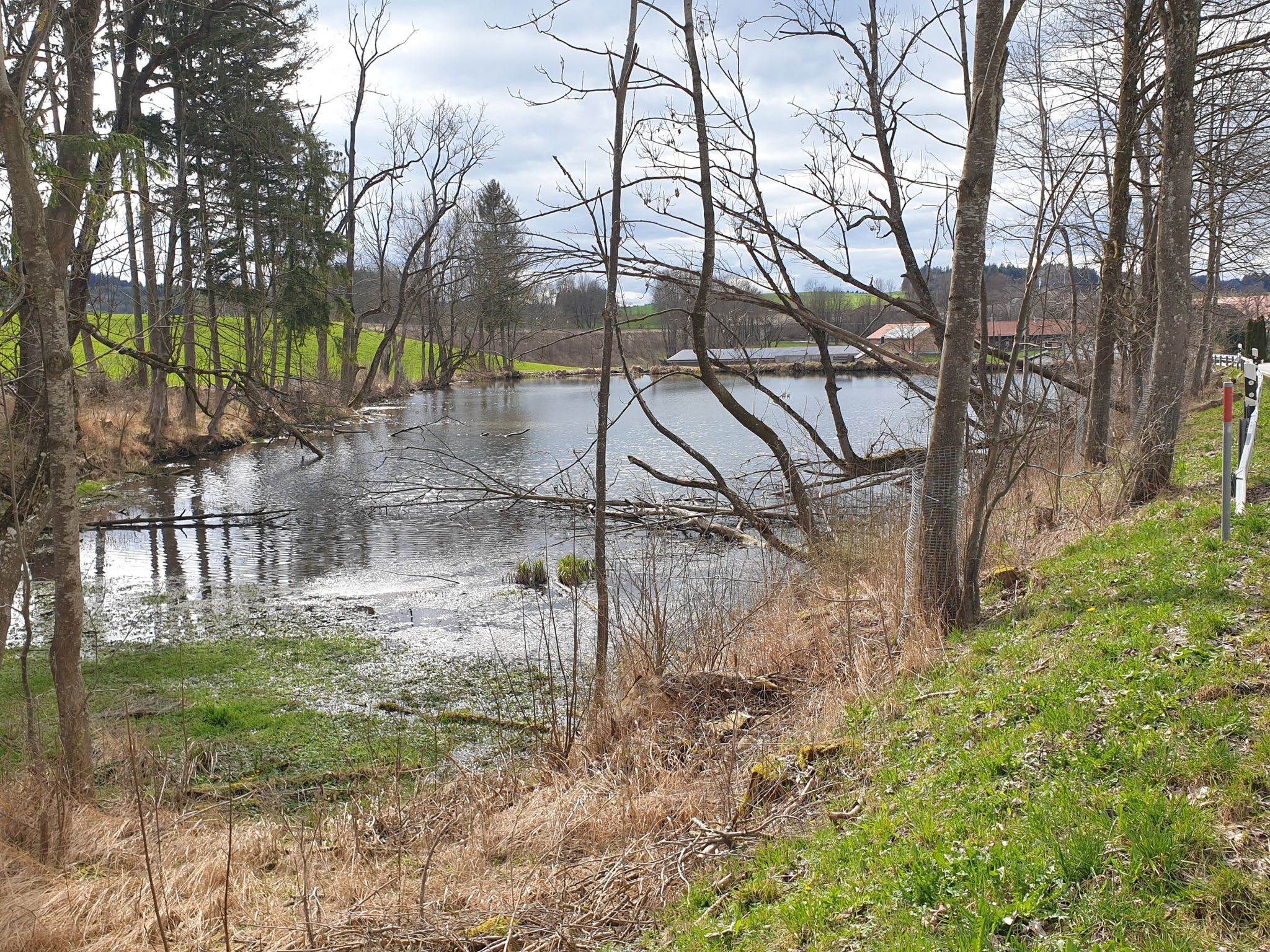 Günzacher Weiher