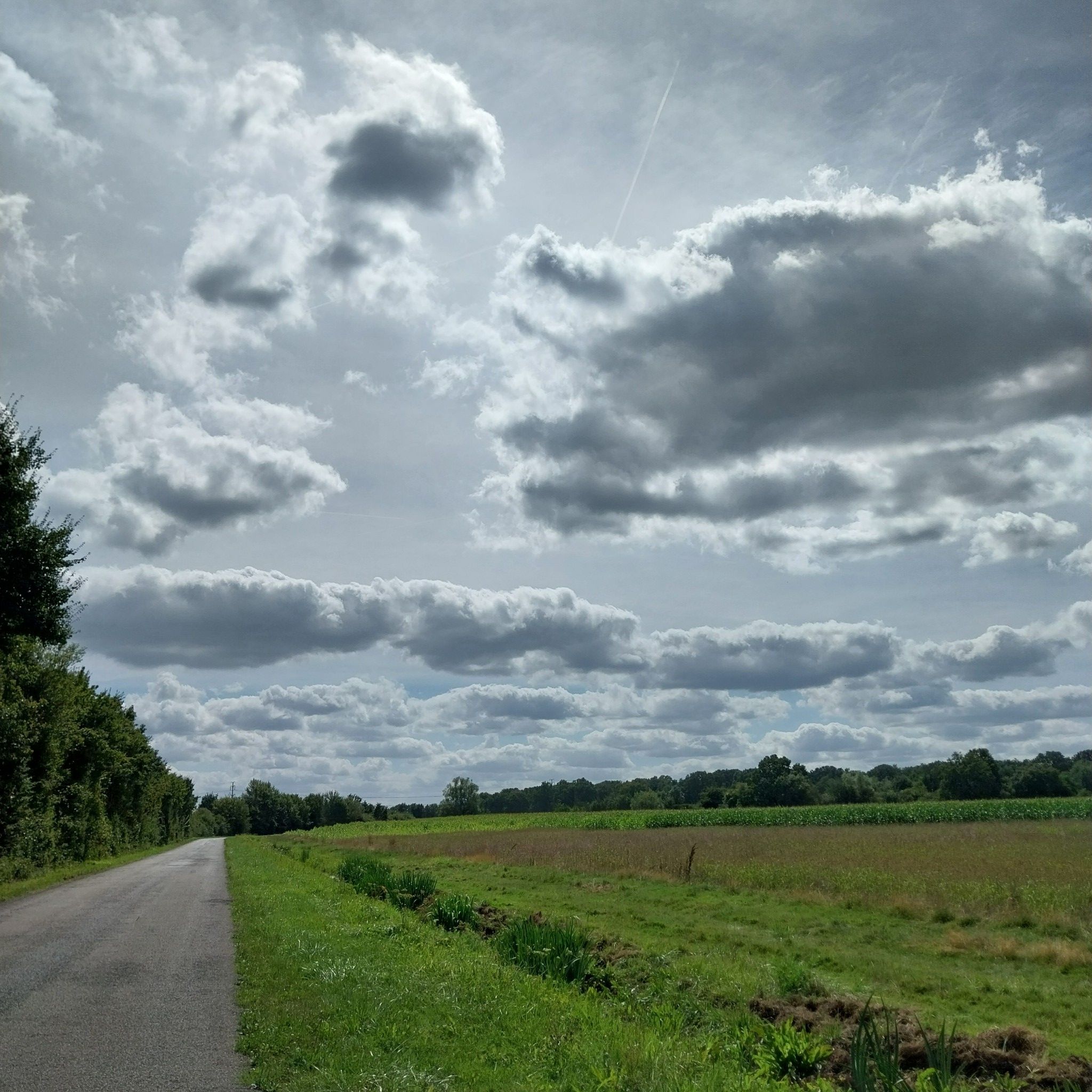D51 - Val-de-Marne/Seine-et-Marne