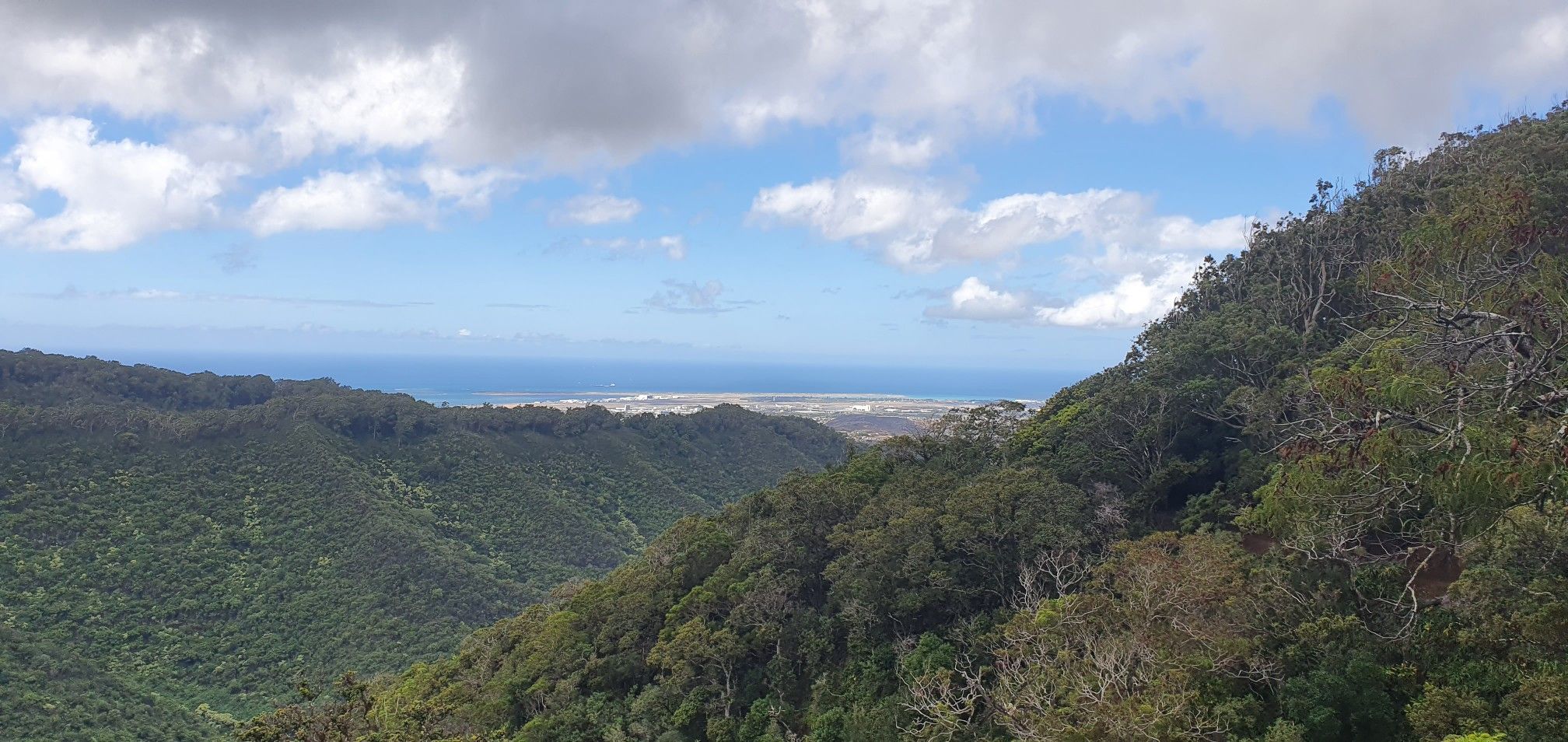 Panoramic view of green valleys leading to a distant coastal city and ocean. - Aiea Loop Trail