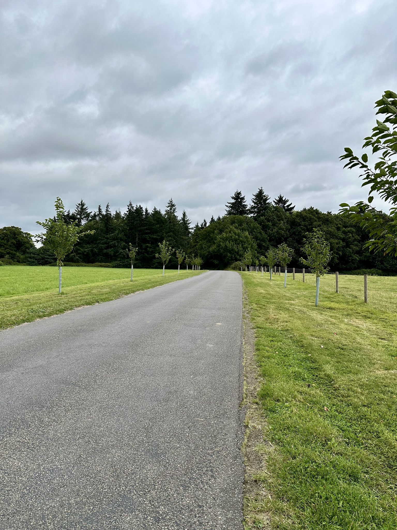 Quiet lane and a bench to stop and have a breather