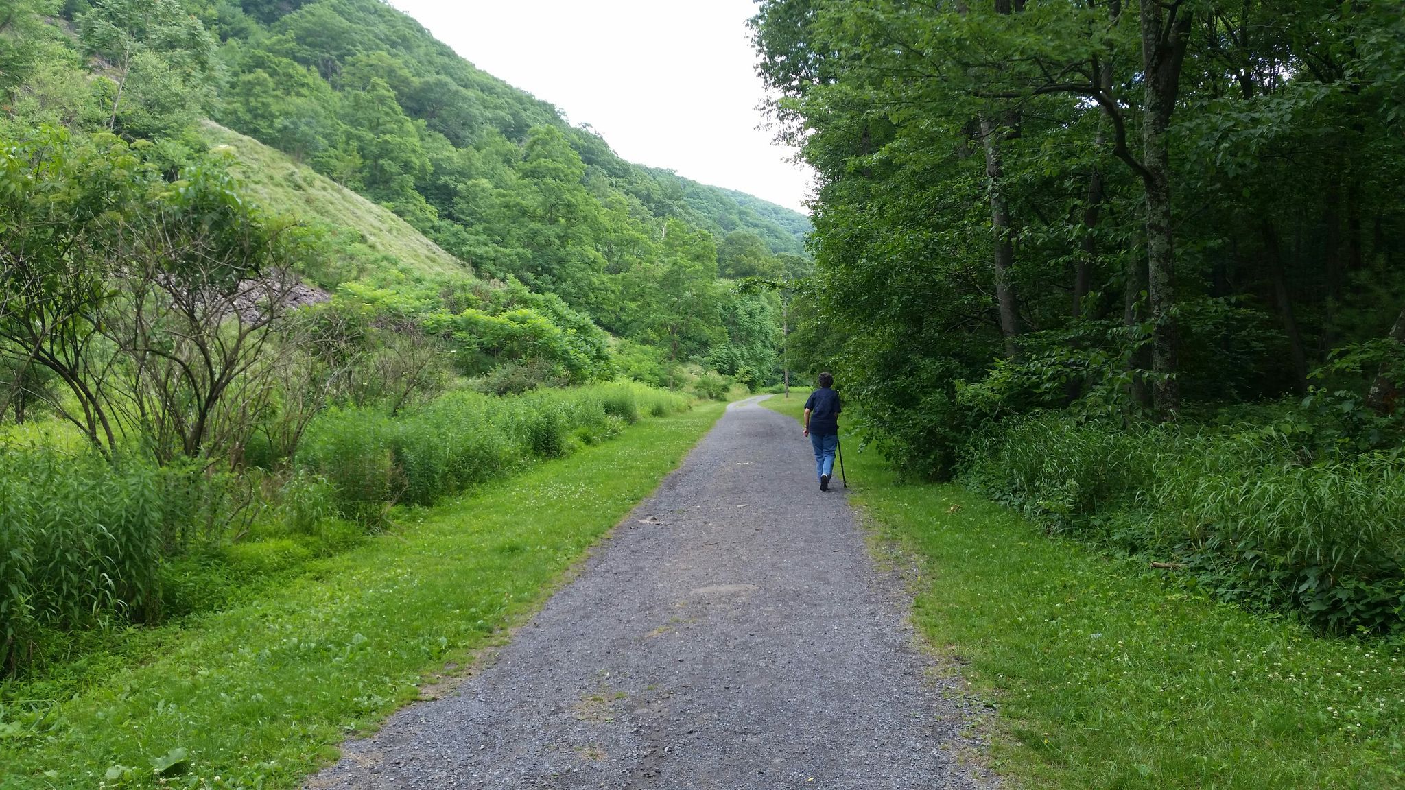 Jane on the path
