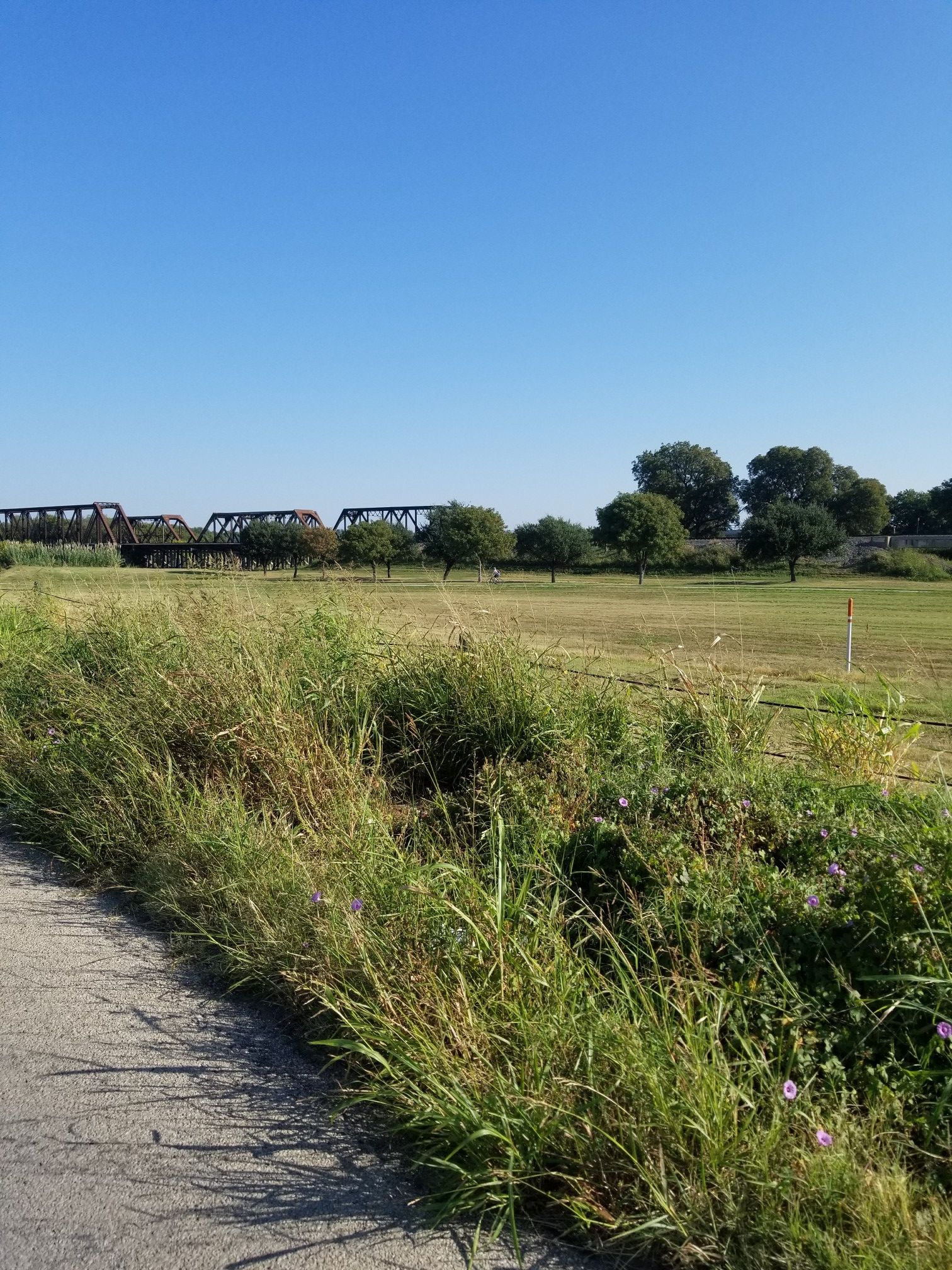 Bright sunny day over a grassy field with distant metal bridges. - Trinity Trails: Stockyards and Downtown Loop