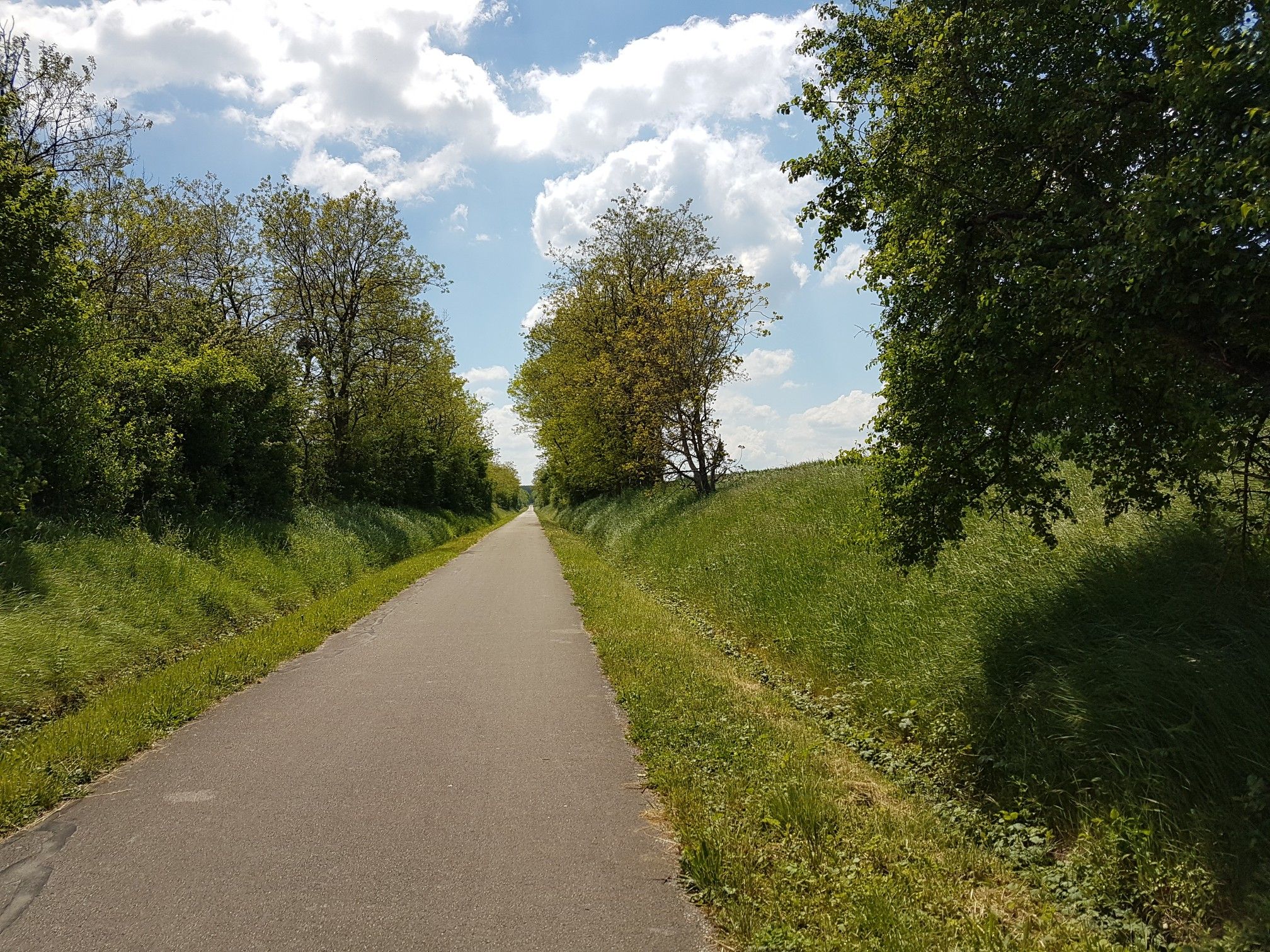 Voie Verte vers Cluny   