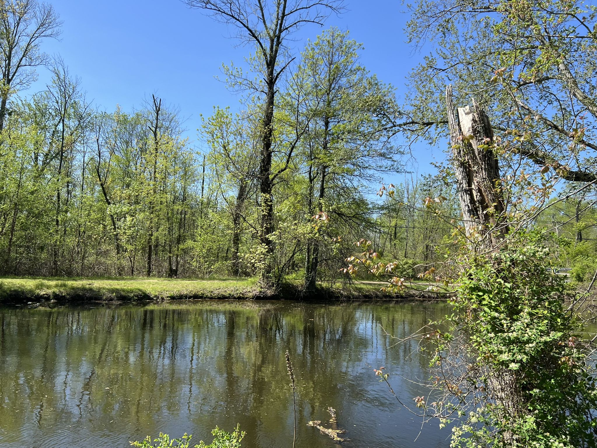 Calm river reflecting tall trees and a clear blue sky on a sunny day. - Delaware and Raritan Canal Towpath Loop via Mapleton Road
