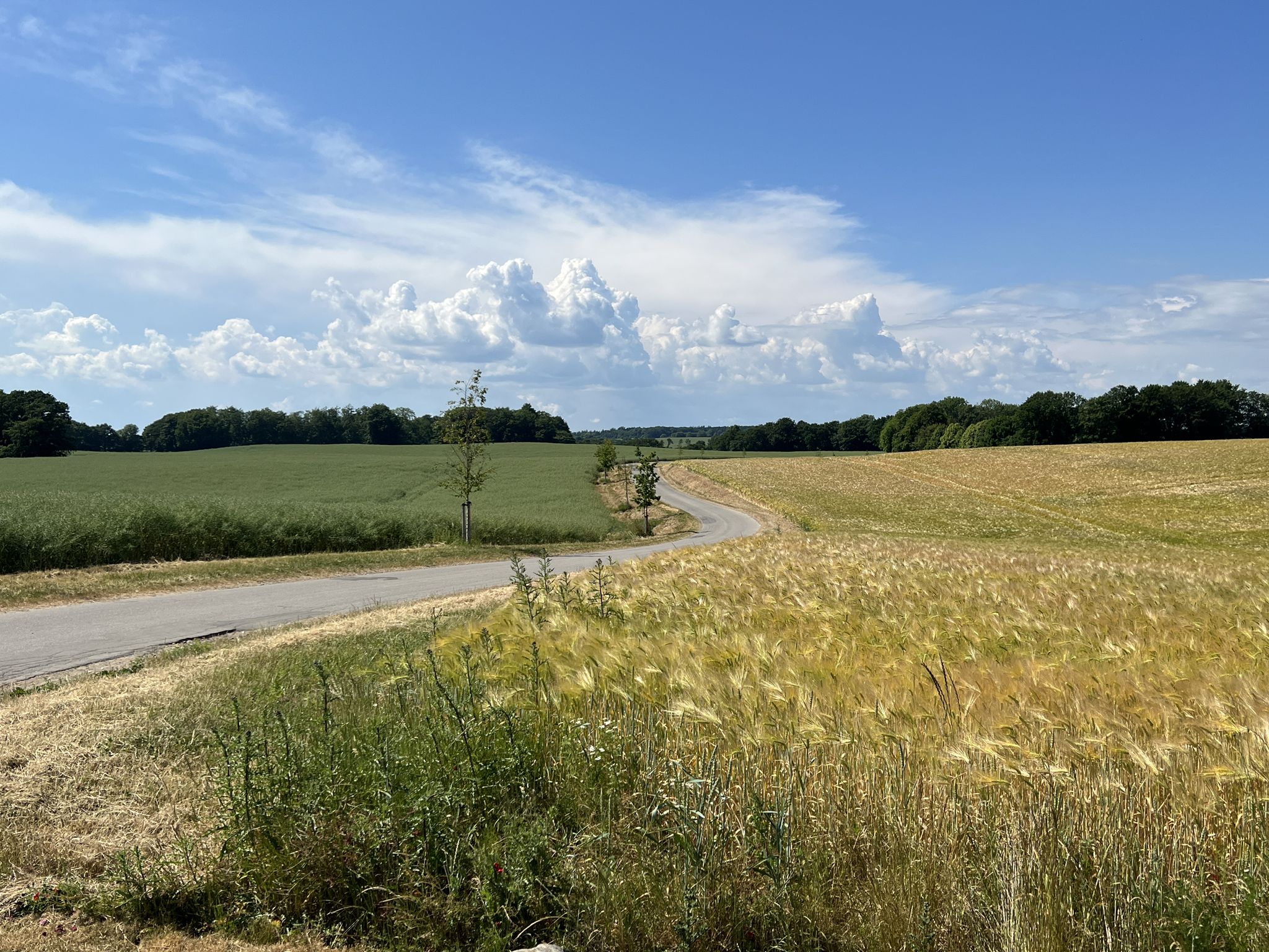 schöne Landschaft beim Großsteingrab