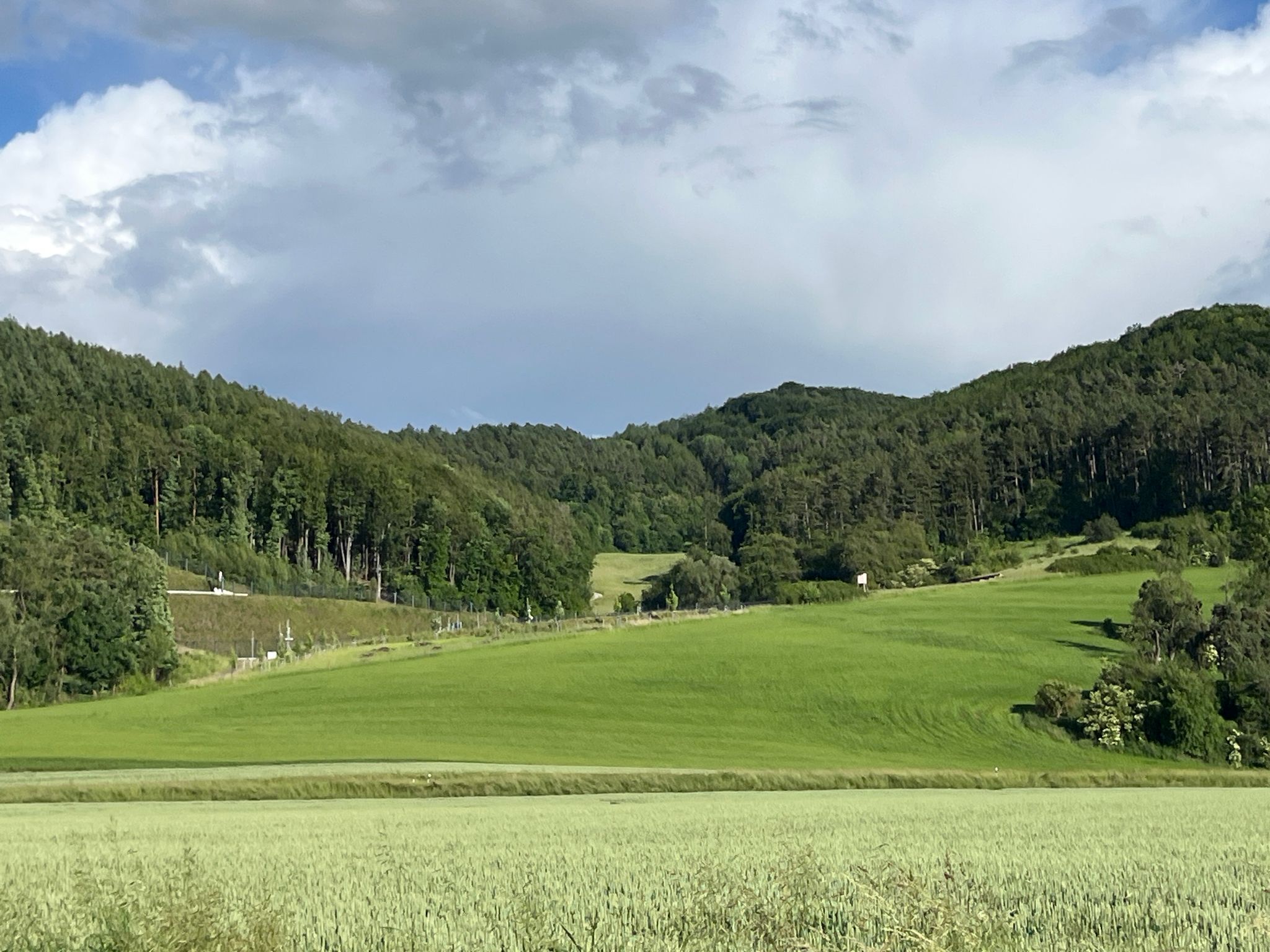 Blick zum Spitzenberg und zum Wichtelbrunnen