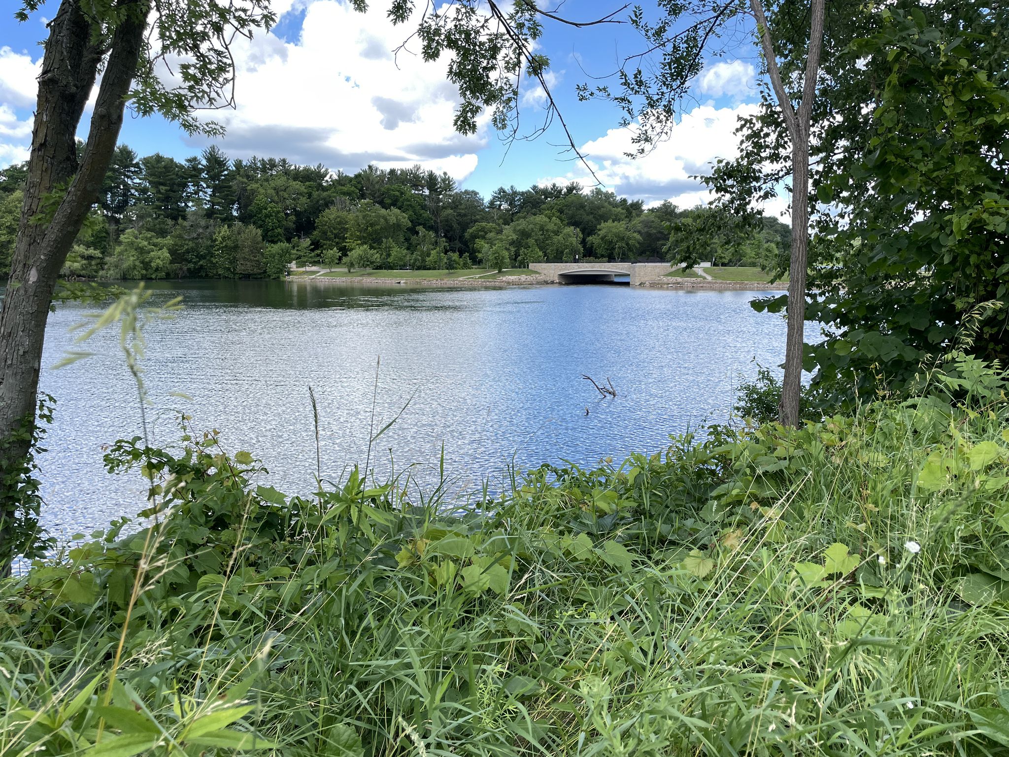 Calm lake framed by green trees under a bright, cloudy sky. - Lakeshore Trail loop from Carson Park