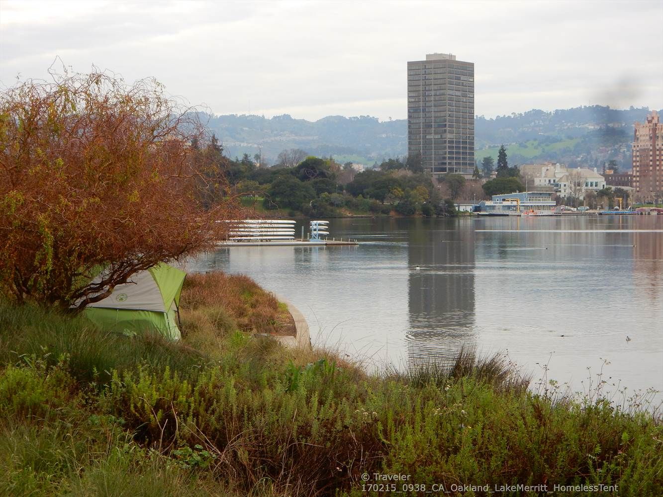 A green tent hidden by a tree near calm water, with a tall building in distance. - Lake Merritt – Lake Merritt Channel Bridge loop from California College of the Arts