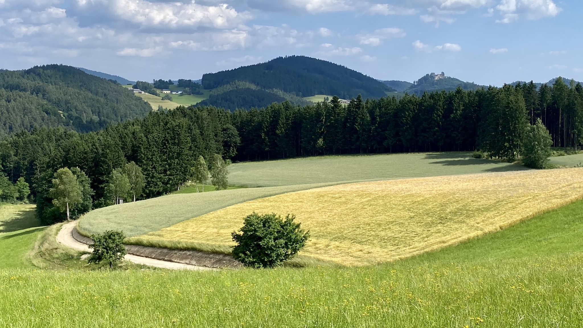 typisch Mühl4tlerAlm