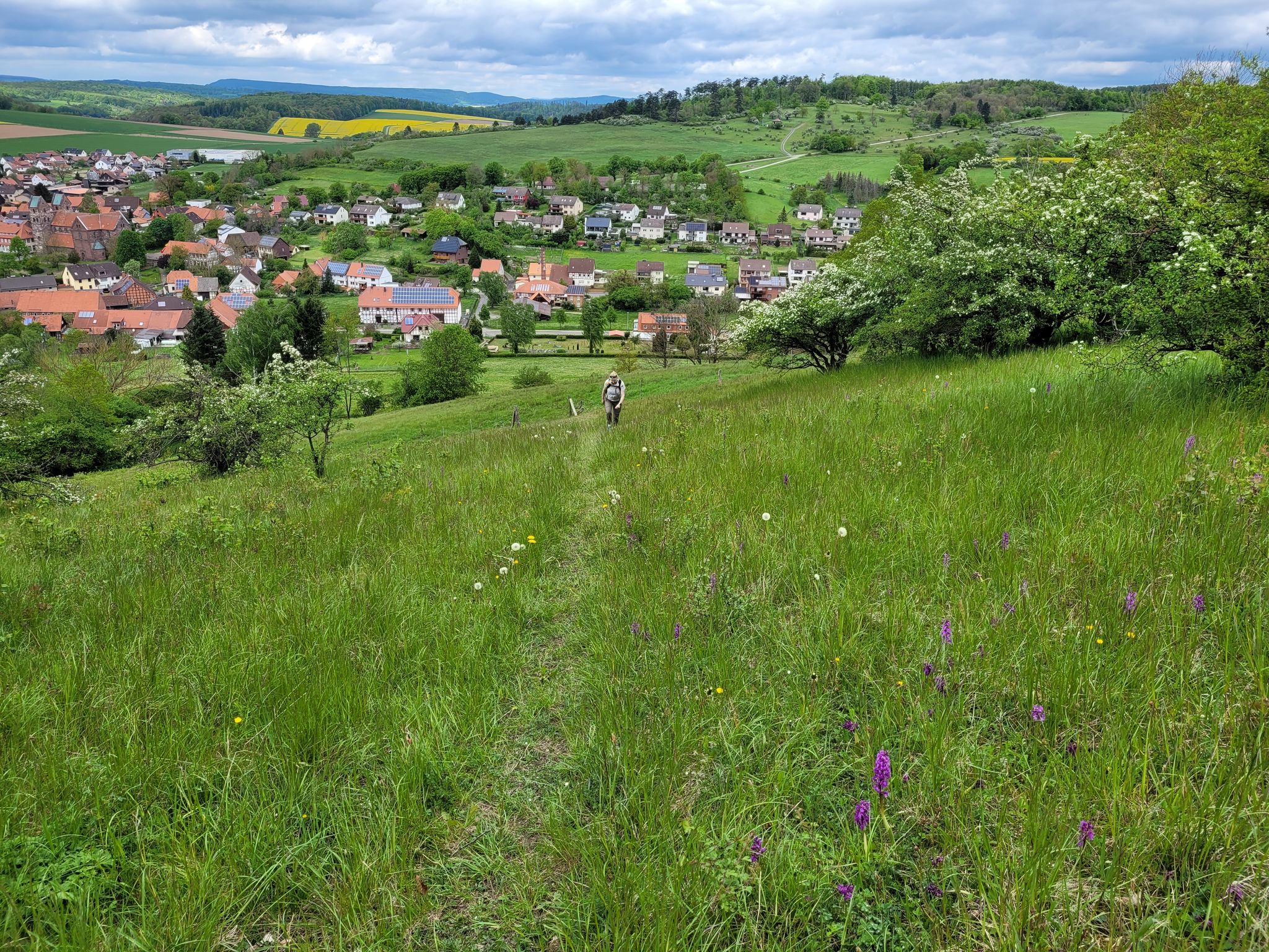 wieder aufwärts