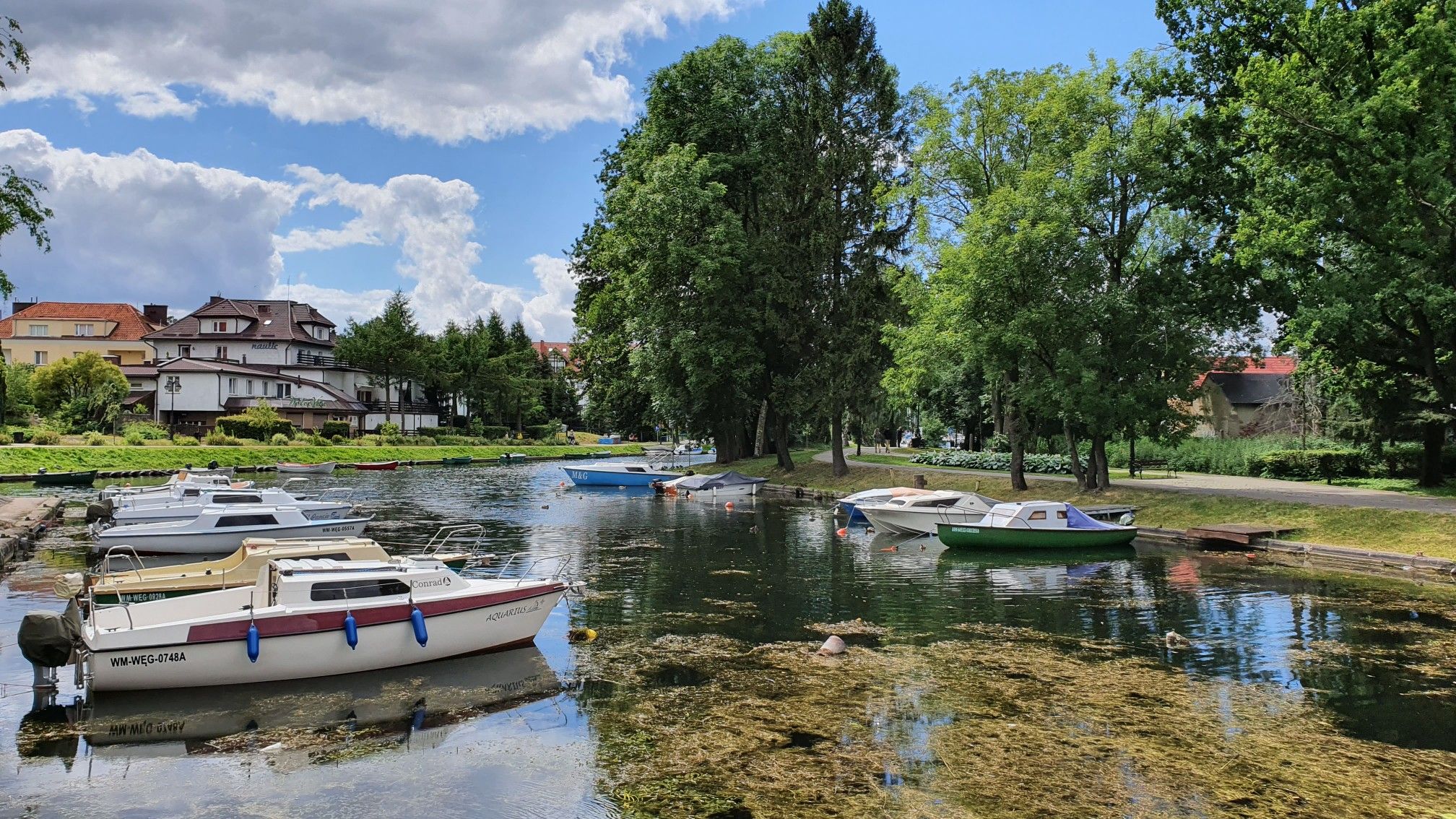 Wegorzewa