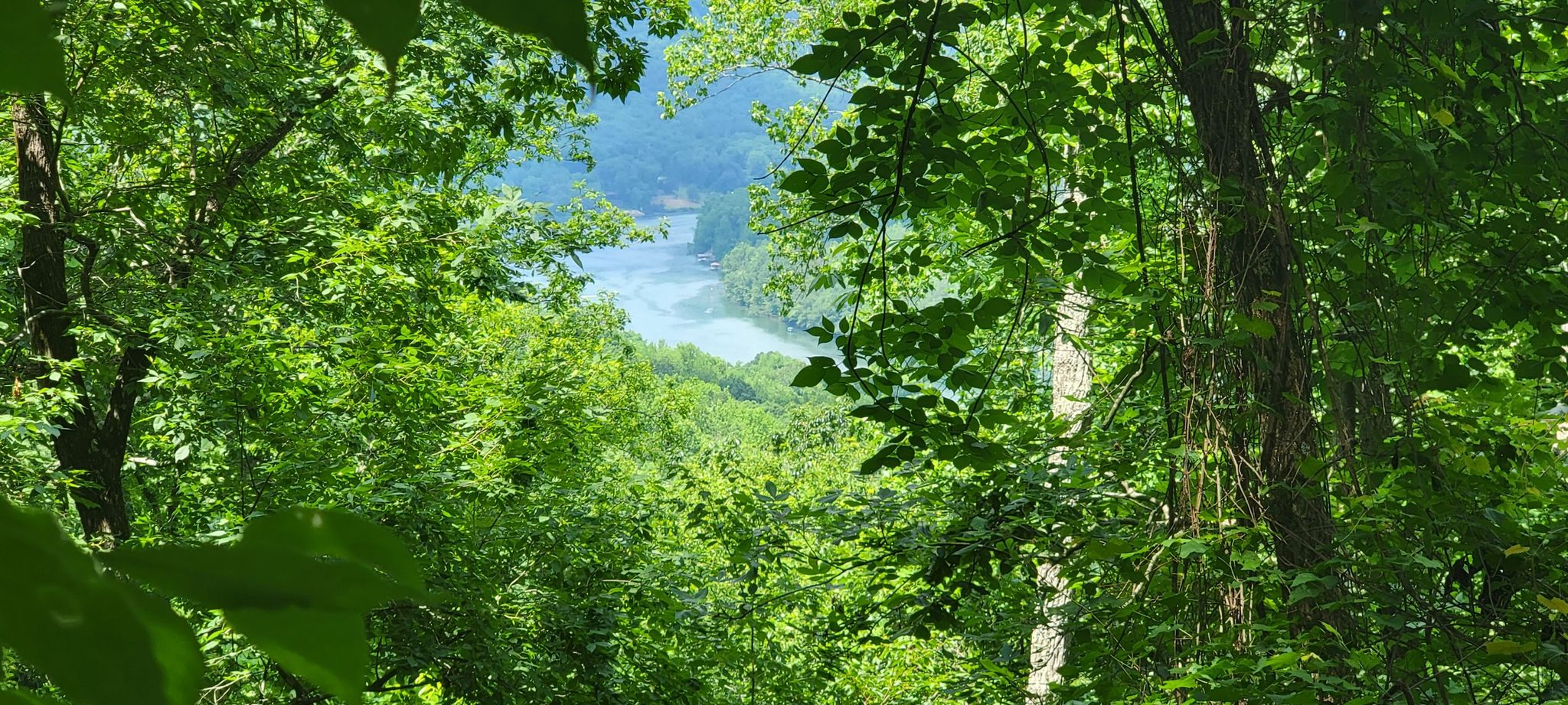 Lush green forest foliage frames a winding river under bright natural light. - Blowing Wind Falls via Ritchie Hollow Trail