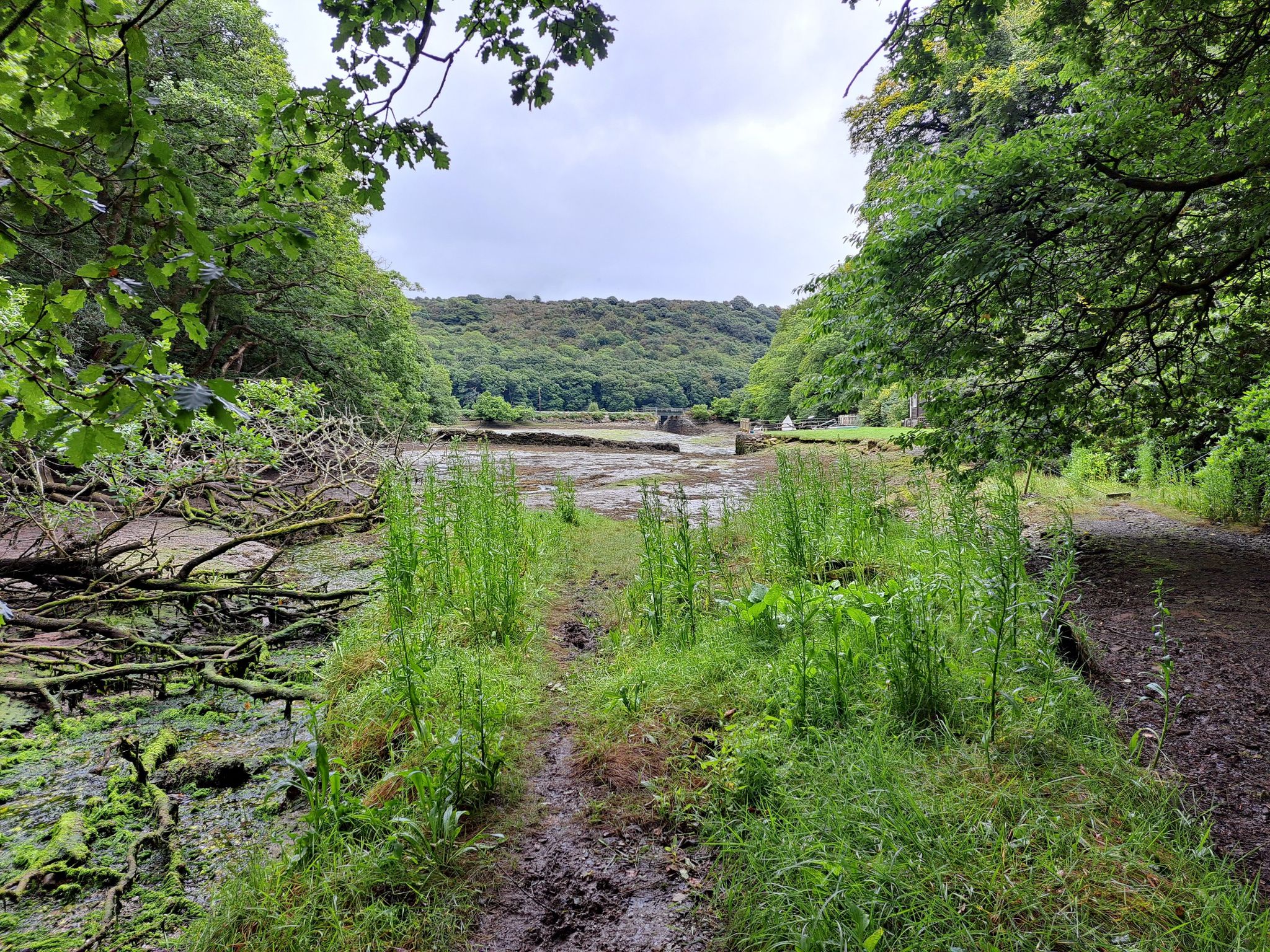 estuary
