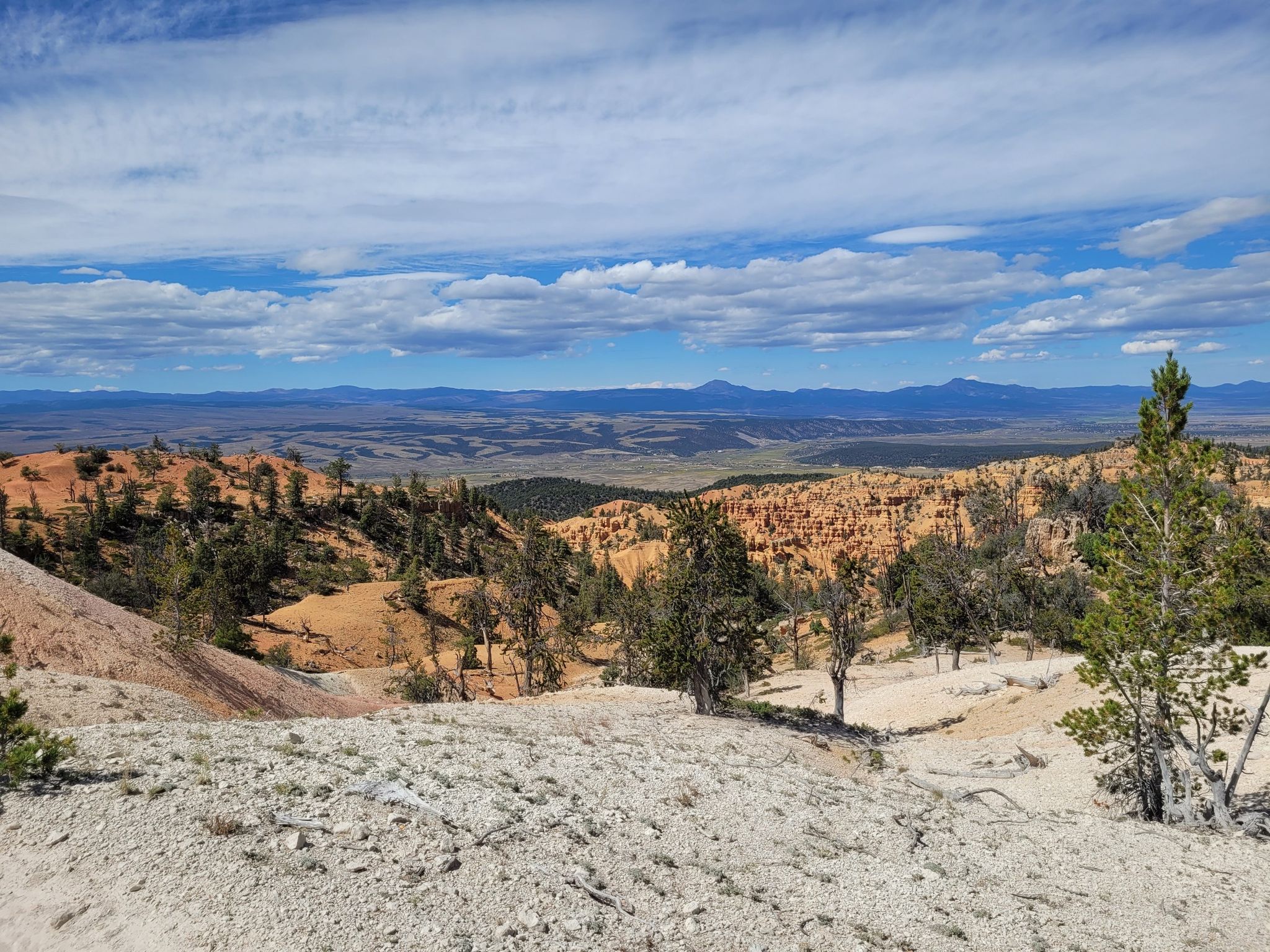 Expansive sunny landscape with red rock formations, scattered trees, and distant plains. - Thunder Mountain Loop