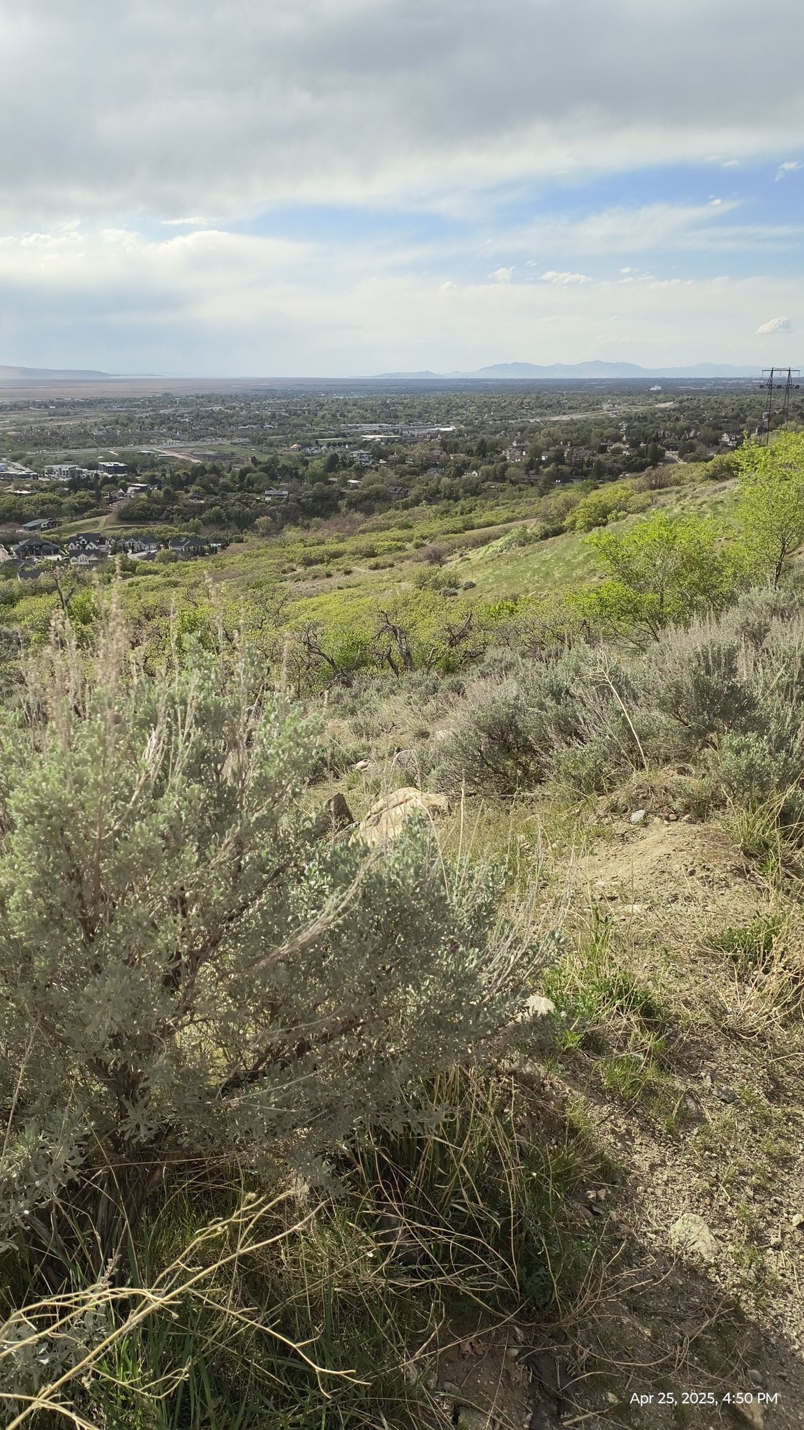 Overcast view from a dry hillside overlooking a distant valley and town. - Flag Rock Trail
