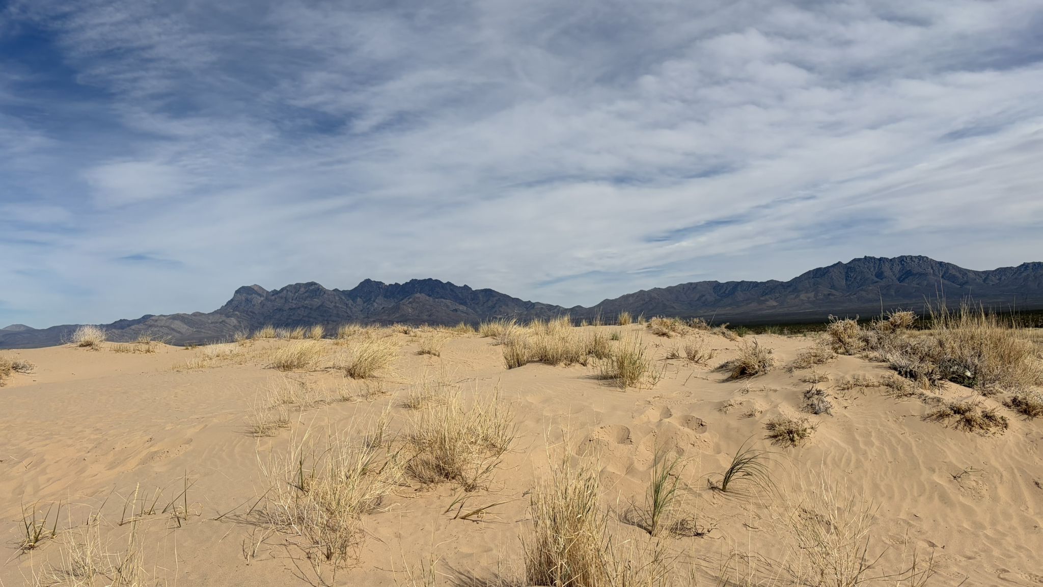 Sandy desert foreground with dry grass, backed by dark mountains under a cloudy sky. - Kelso Dunes Trail