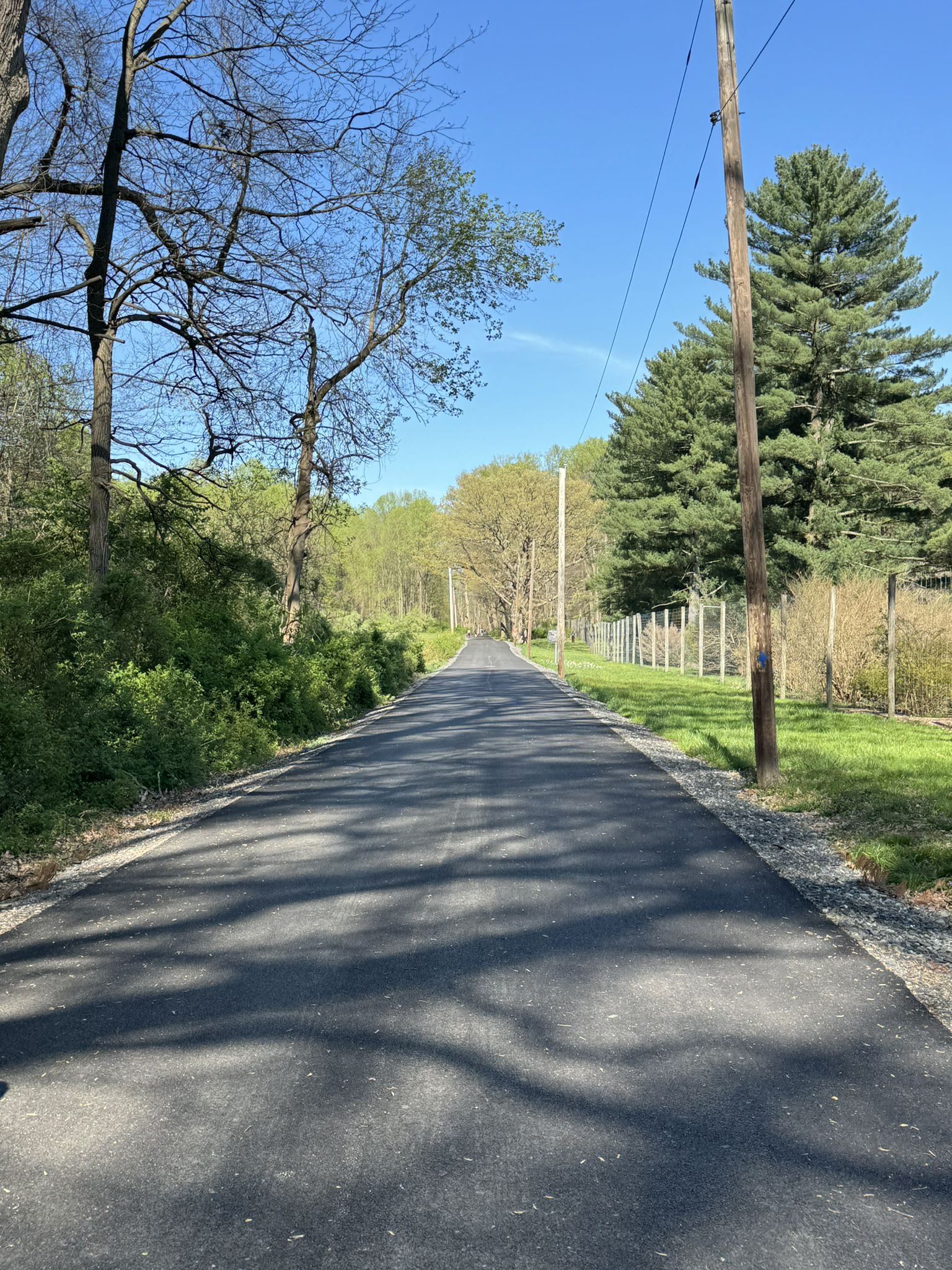 Long paved path lined with trees and a fence under a clear blue sky. - Ridley Creek Blue Trail Loop