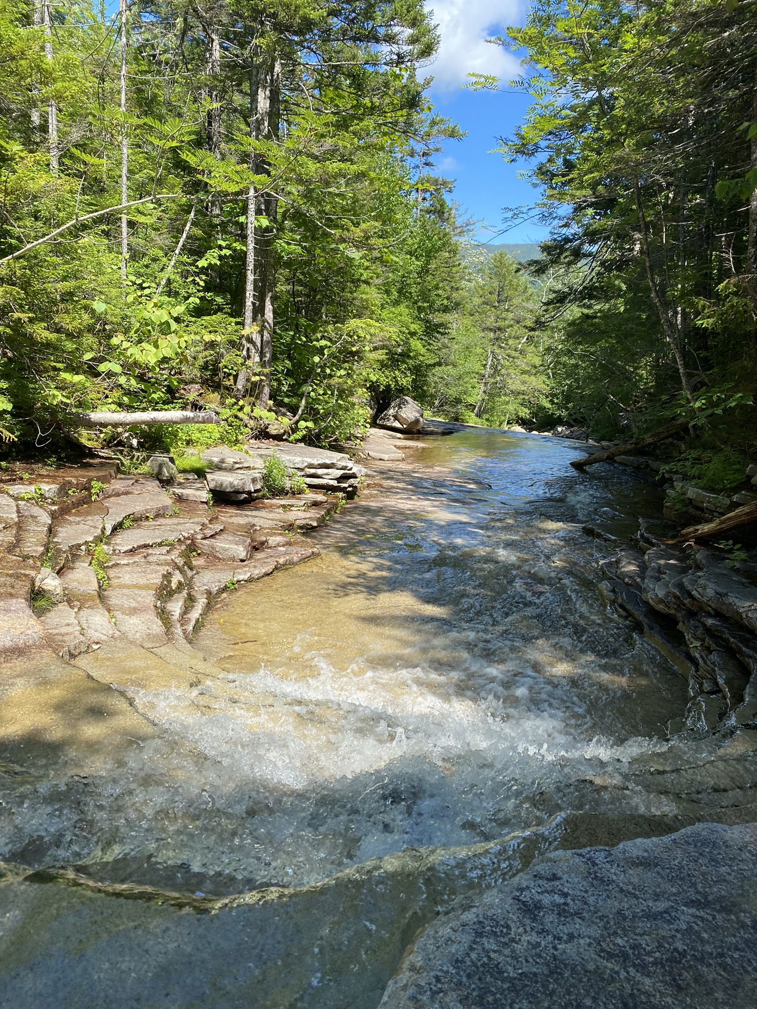 Clear stream flowing over smooth rocks in a sunlit forest. - Arethusa Falls and Bemis Brook Trail