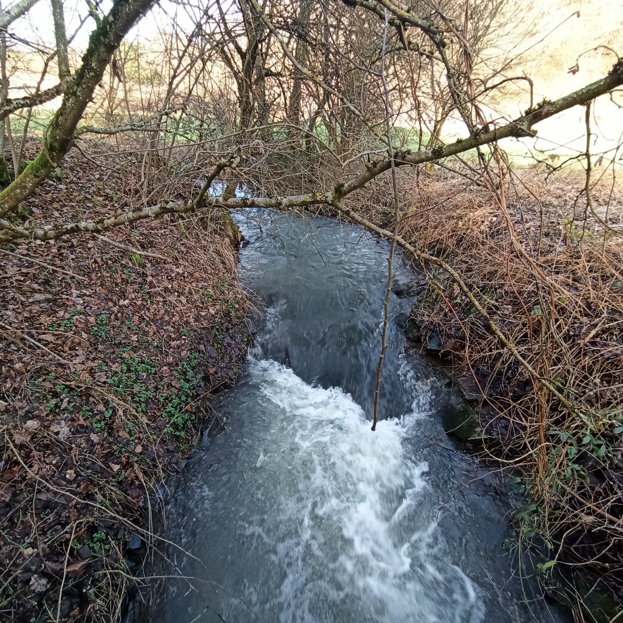 am Brohlbach