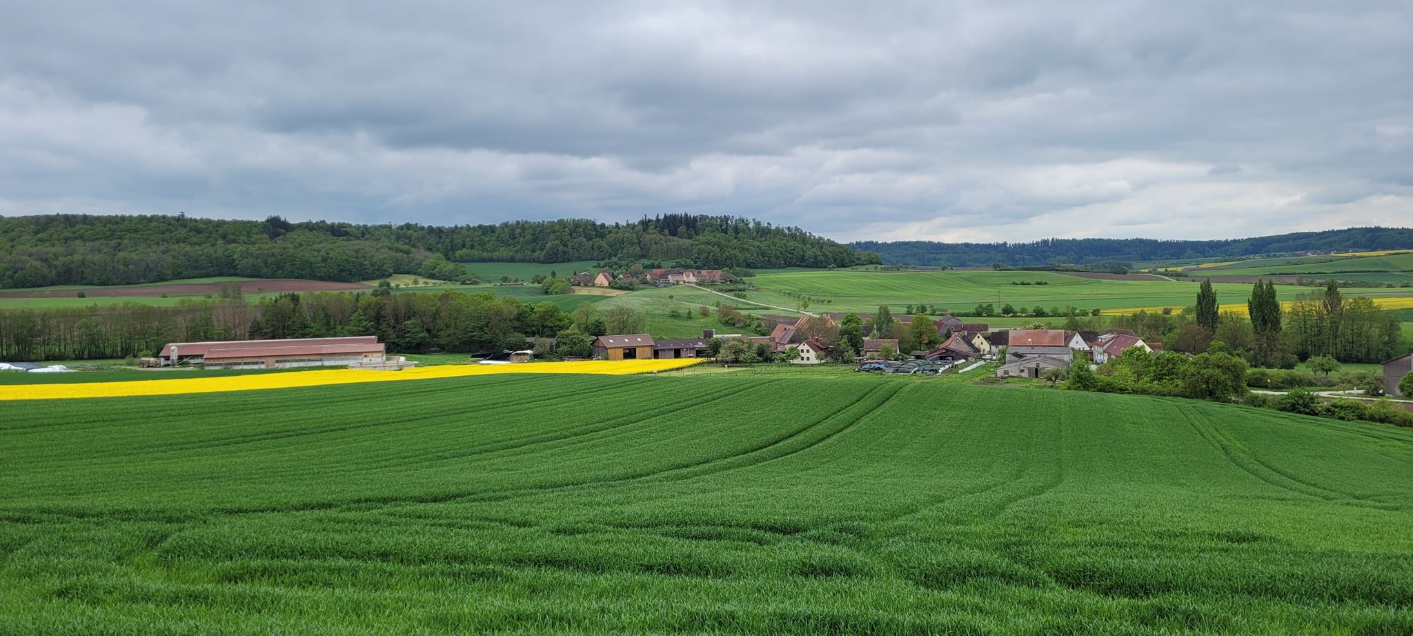Horabach und Södelbronn wer kennt es nicht?🤔