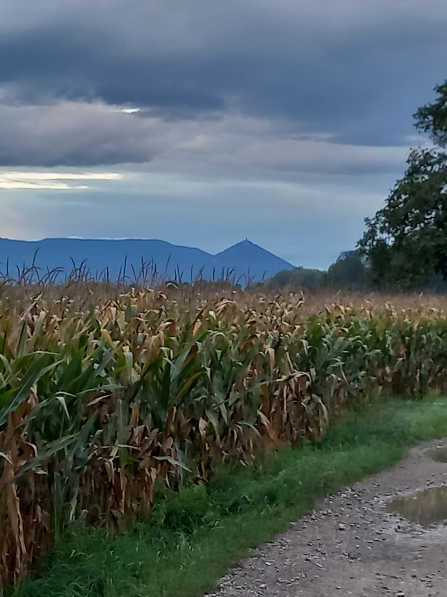 Le Haut Koenigsbourg
