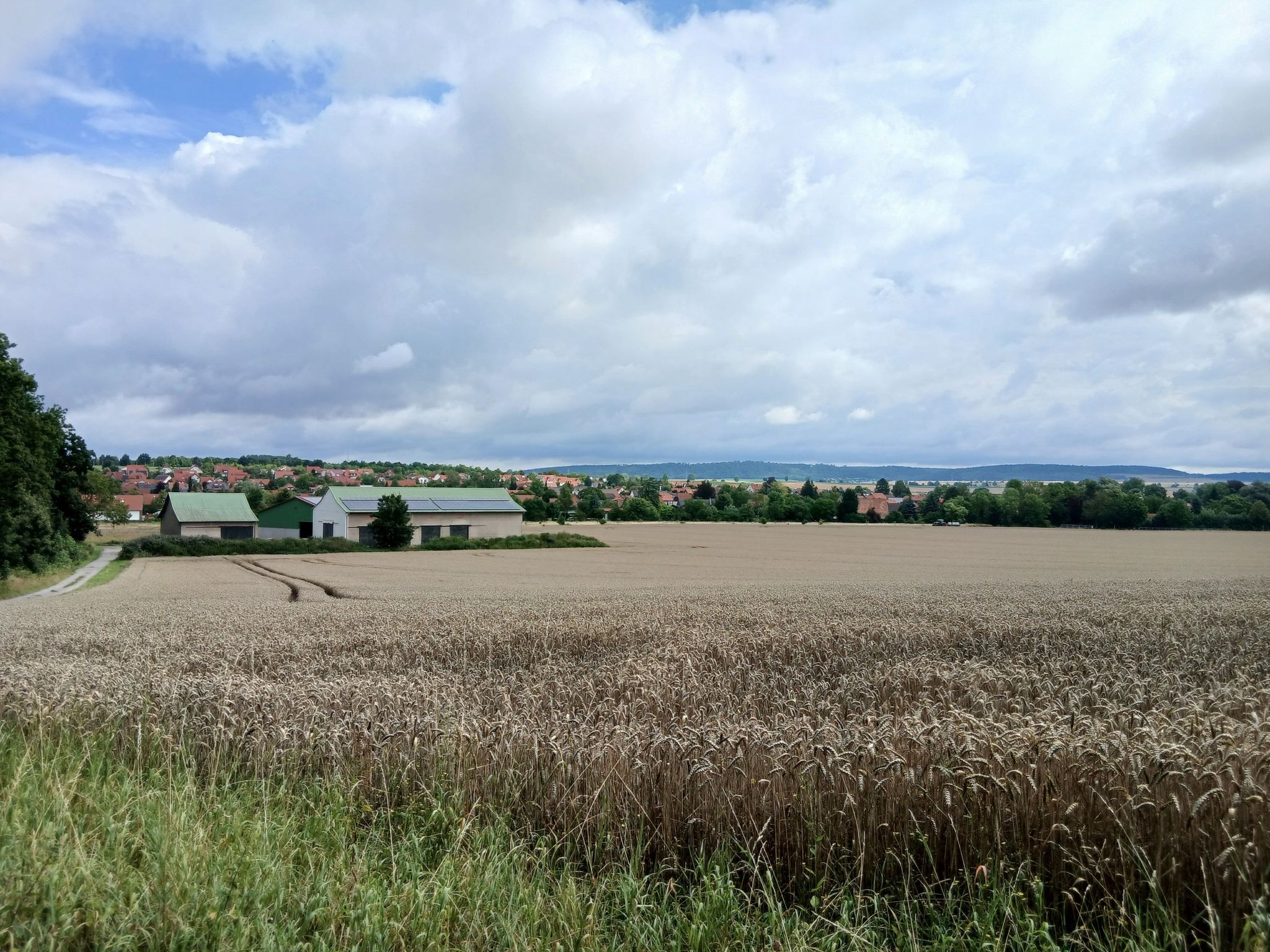 Aussicht Richtung Elm Lappwald