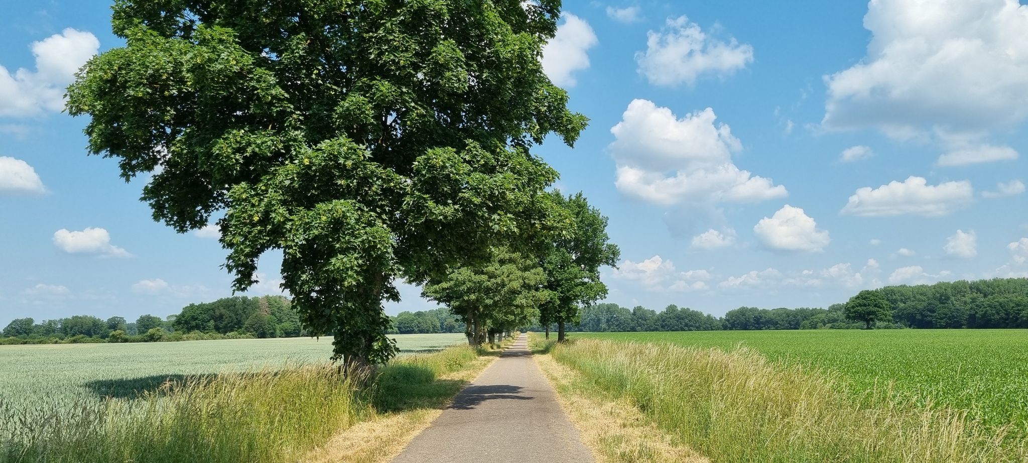 Westerrade - Pronstorf