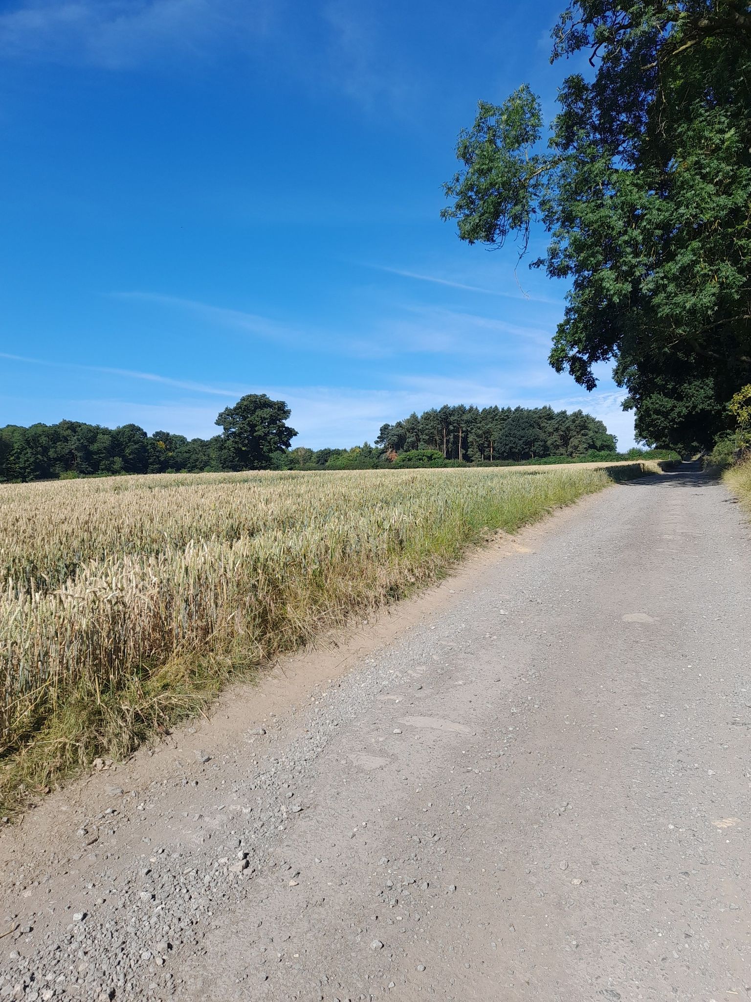 Gravel track along field