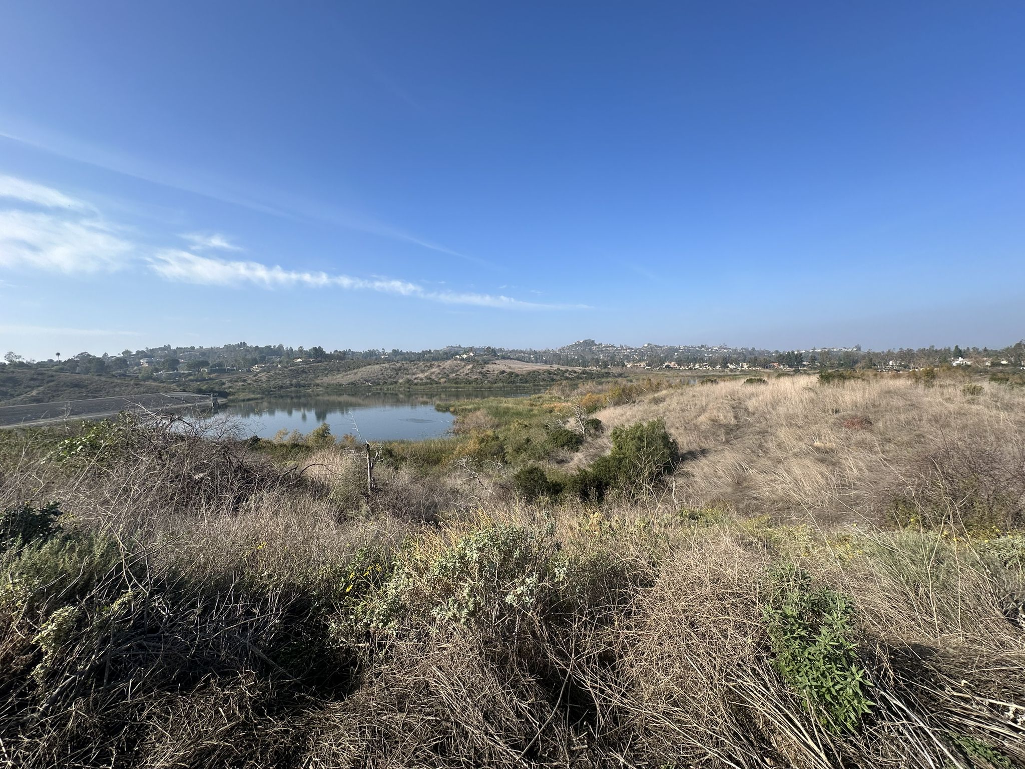 Panoramic view of a blue lake among dry, grassy hills under a clear sky. - Peters Canyon North Loop and East Ridge Trail