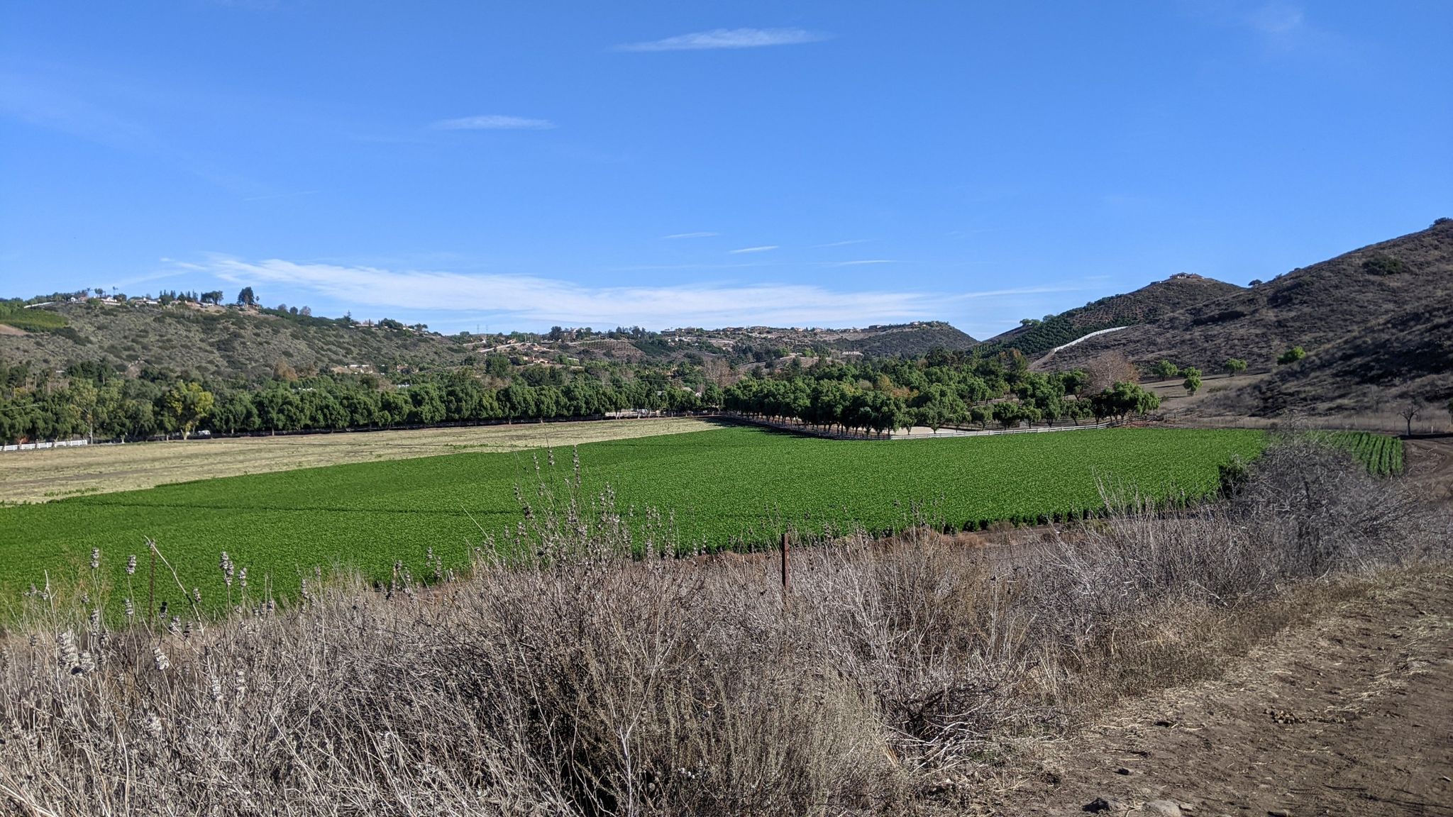 Vast green fields in a valley surrounded by hills under a clear sky. - View of the Switchbacks – Conejo Canyons Open Space loop from Wildwood Park