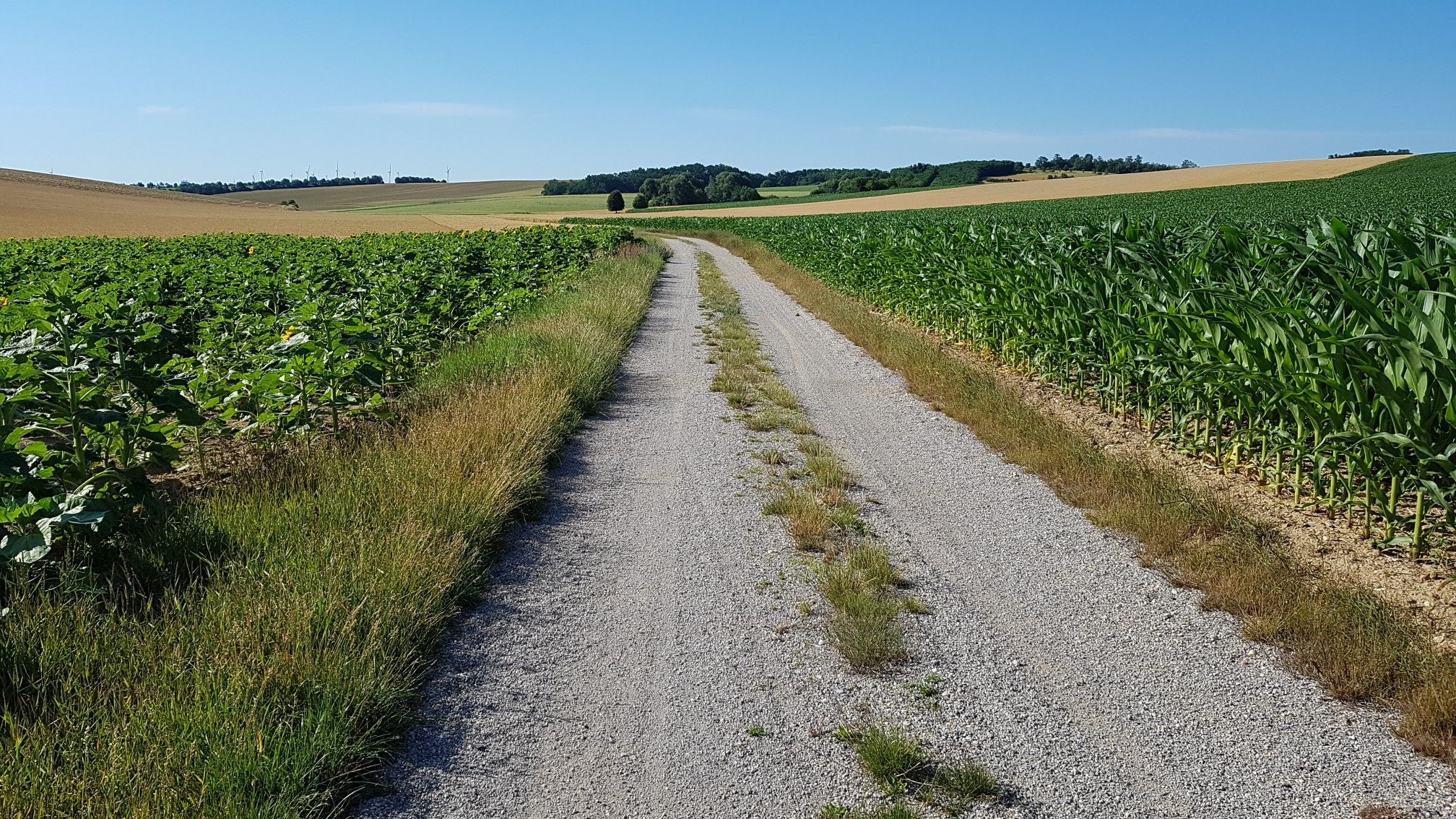 Zwischen Siebenhirten und Hüttendorf