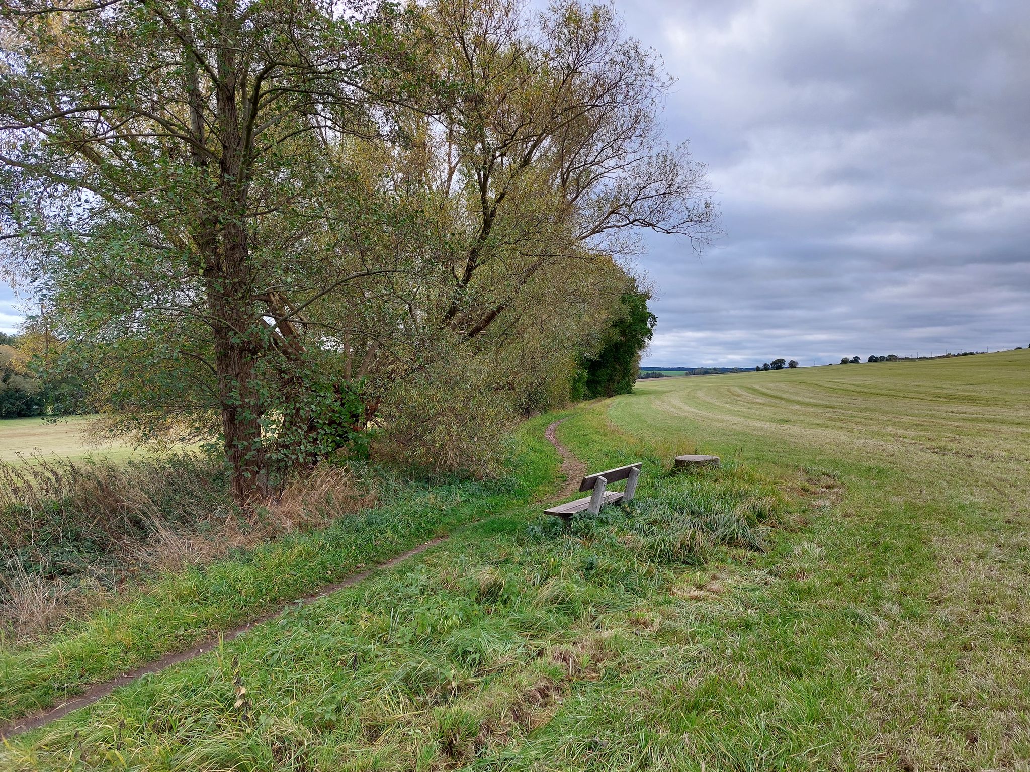schöner Singletrail
