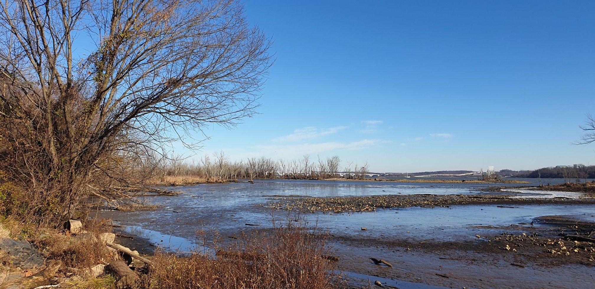 Muddy riverbank and bare trees under a bright blue winter sky. - Mount Vernon Trail
