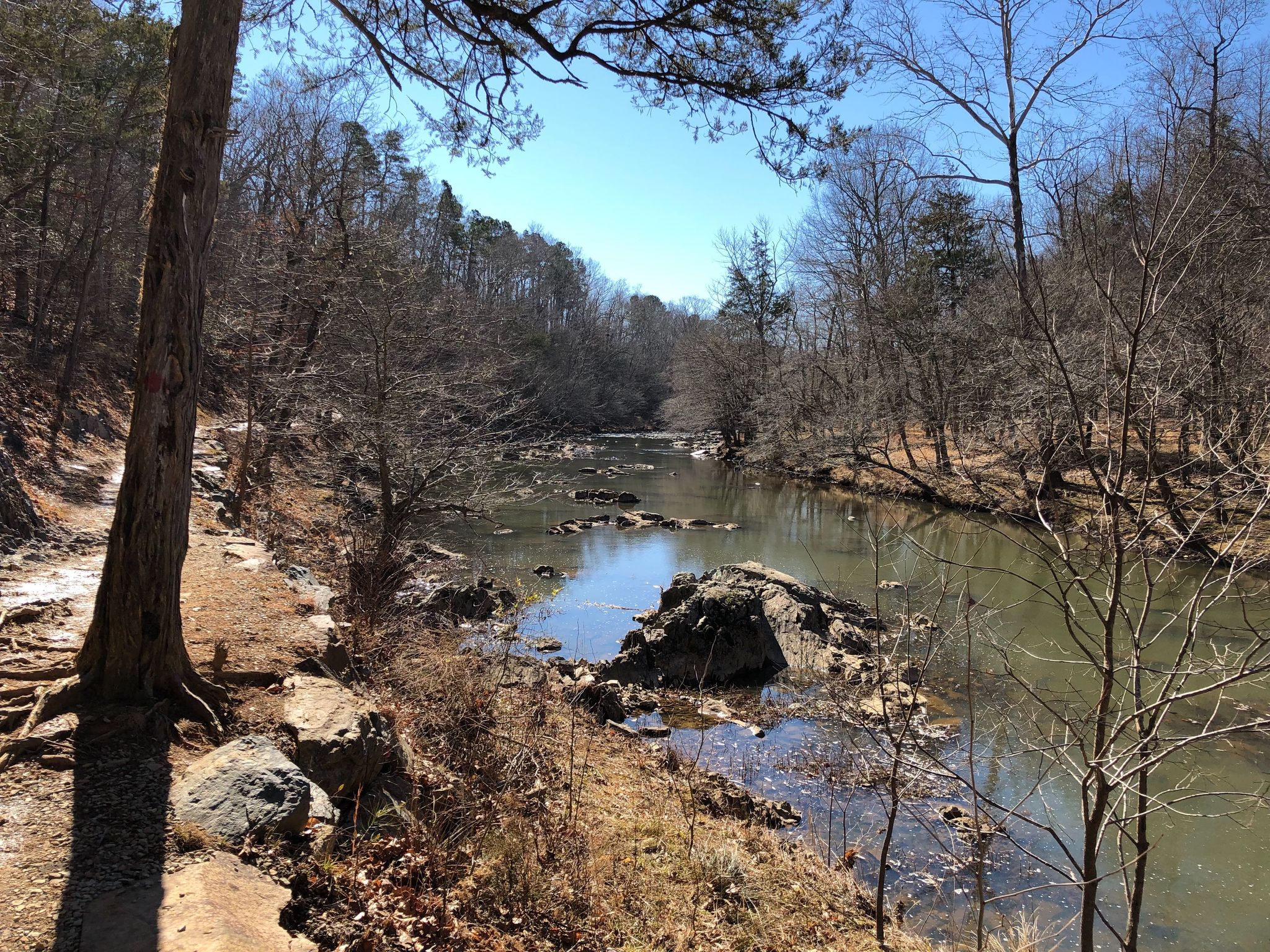 Sunny view of a rocky river flowing through a bare forest. - Buckquarter Creek Trail