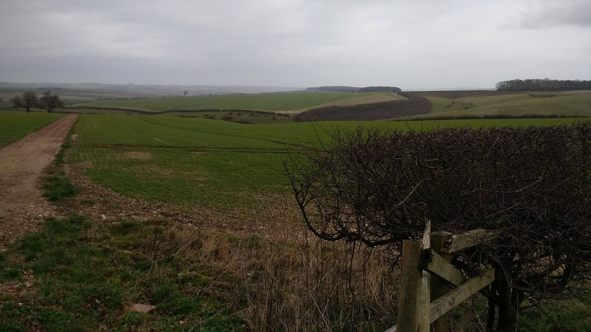 Yorkshire in the rain!