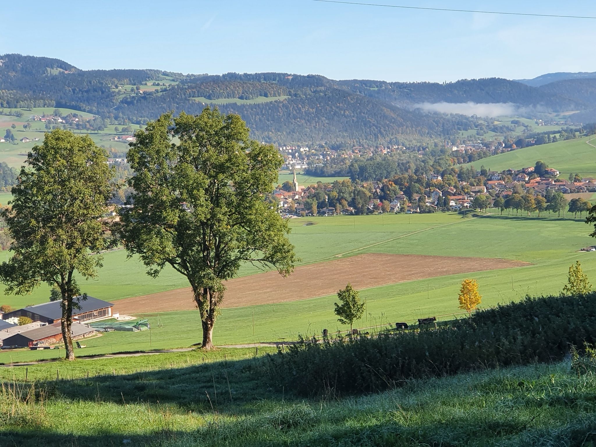 Motier