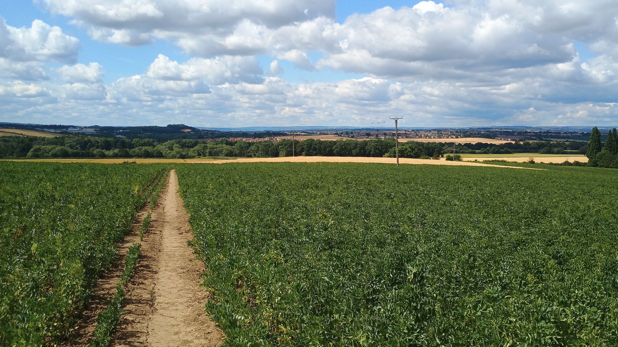 Dearbe Valley from High Melton path