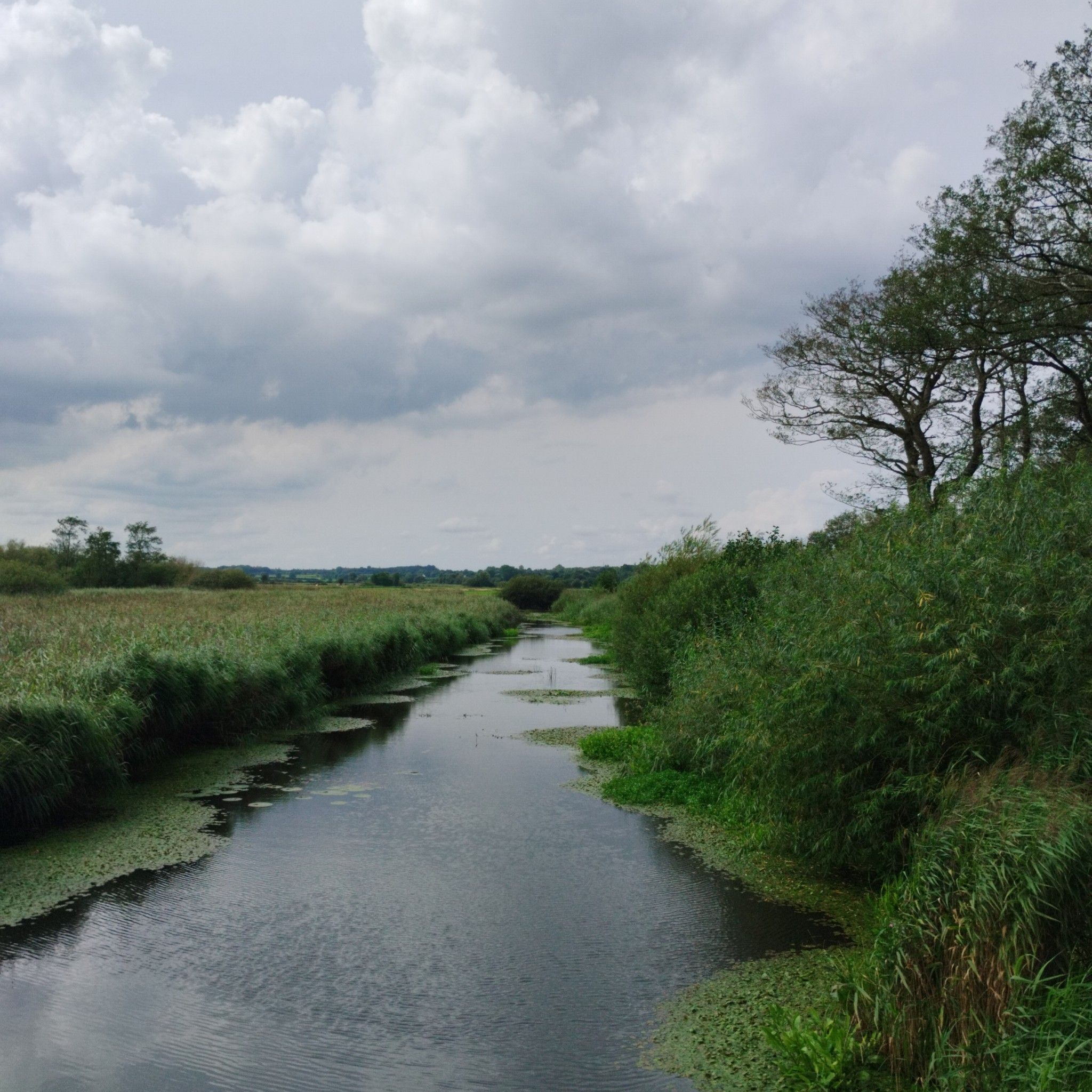 Die Sorge