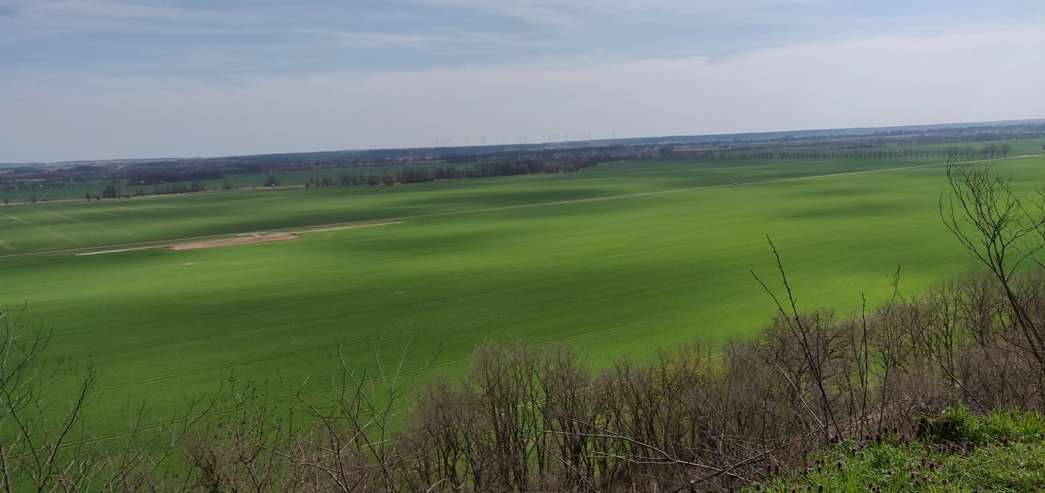Schöne Aussicht bei Reitwein